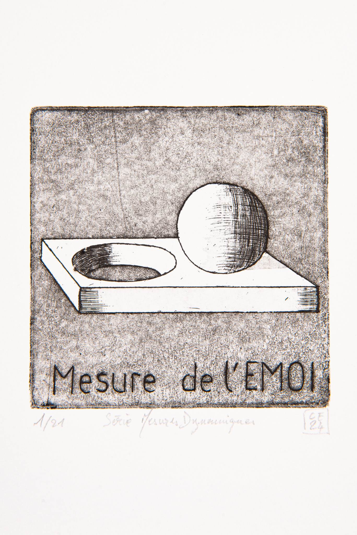 Christophe Ecobichon - Série Mesure de l’émoi - Galerie d’art à Brest