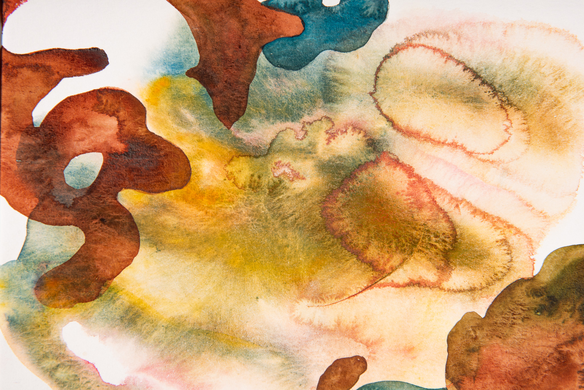 Elizabeth Saint-Jalmes - Sans titre - Galerie d’art à Brest