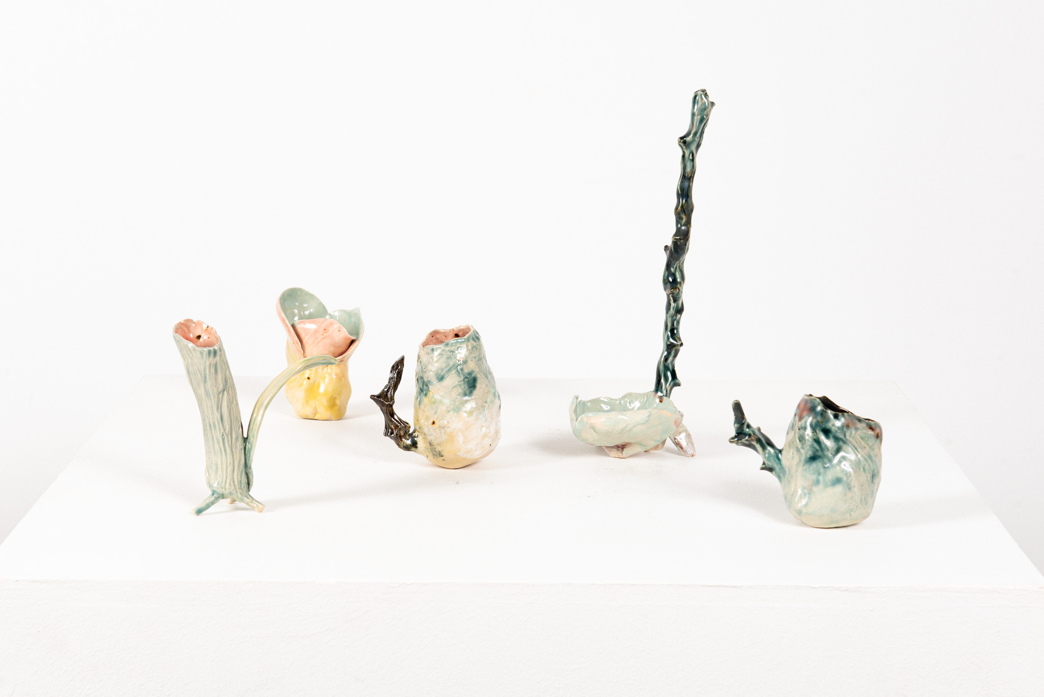 Elizabeth Saint-Jalmes - Tasses, Projet Phulon. - Galerie d’art à Brest