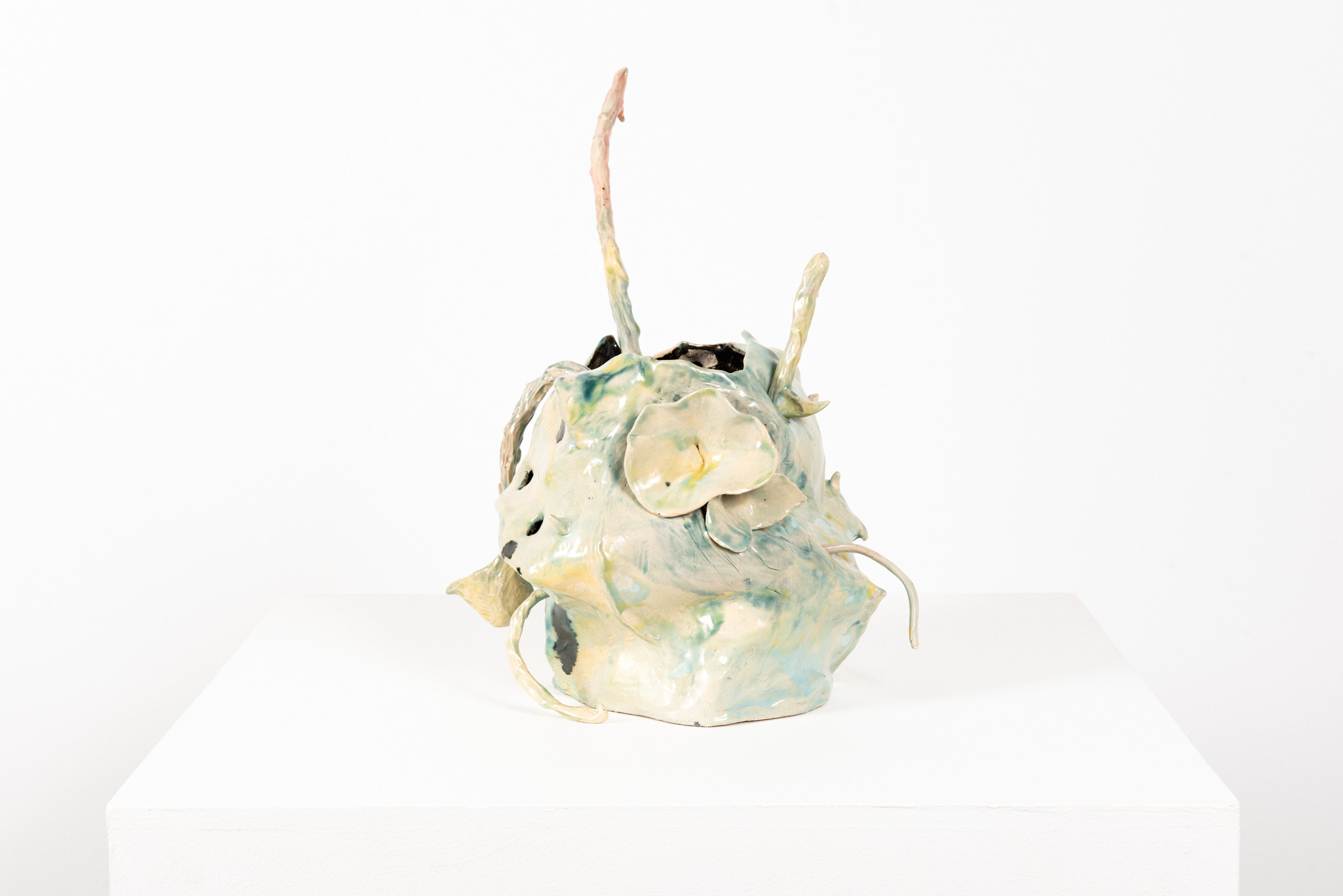 Elizabeth Saint-Jalmes - Tisanière, Projet Phulon. - Galerie d’art à Brest