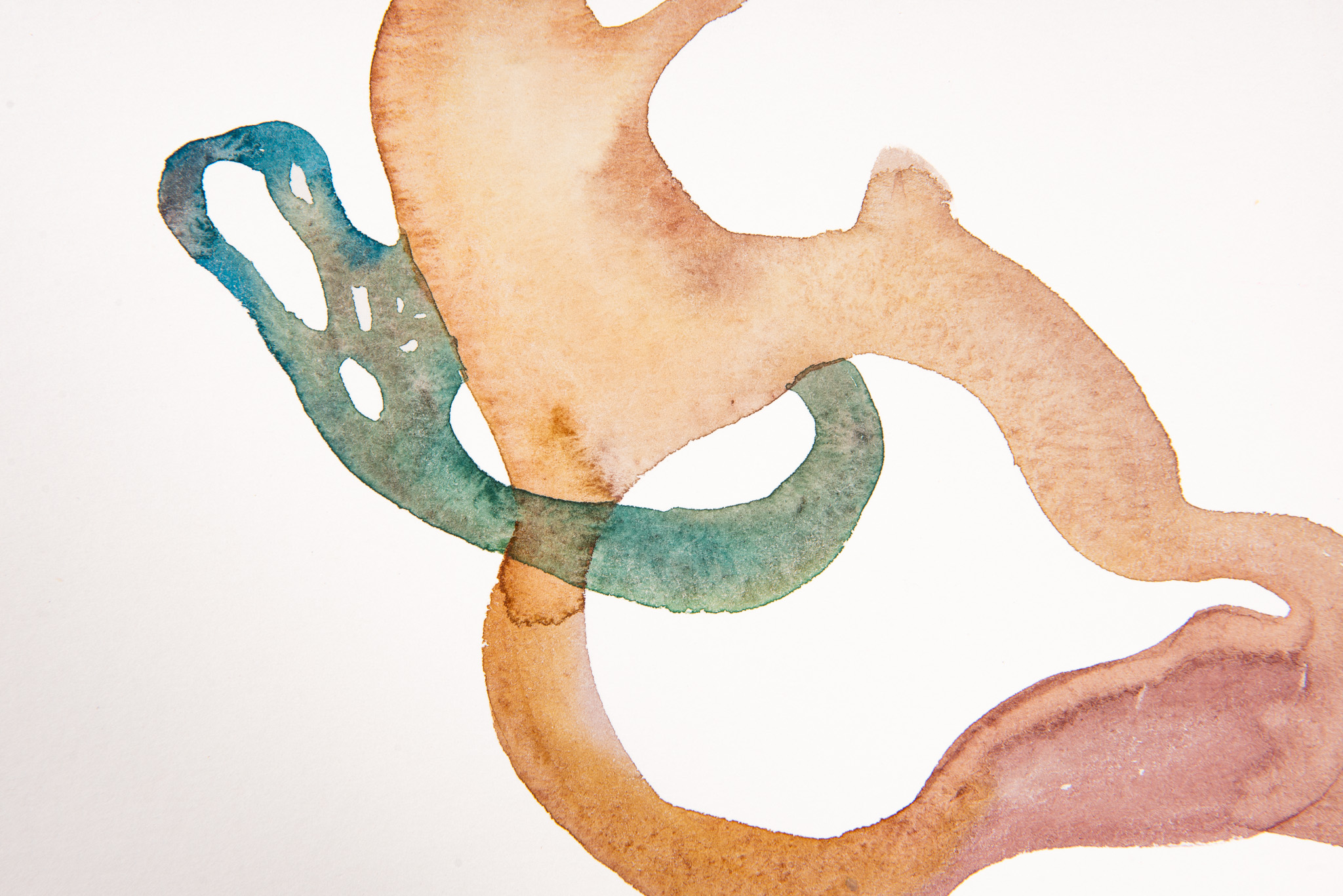 Elizabeth Saint-Jalmes - Sans titre - Galerie d’art à Brest
