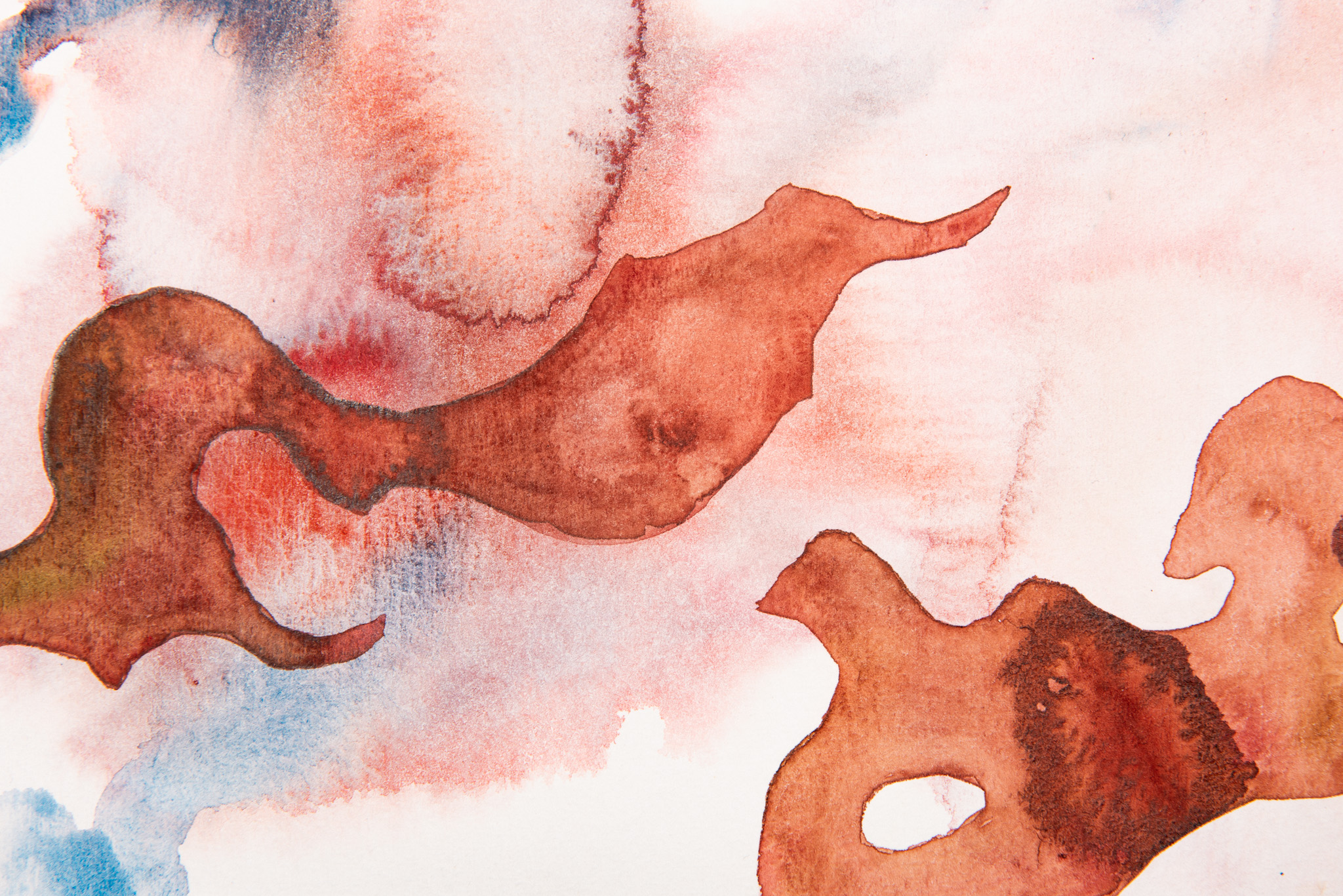 Elizabeth Saint-Jalmes - Sans titre - Galerie d’art à Brest