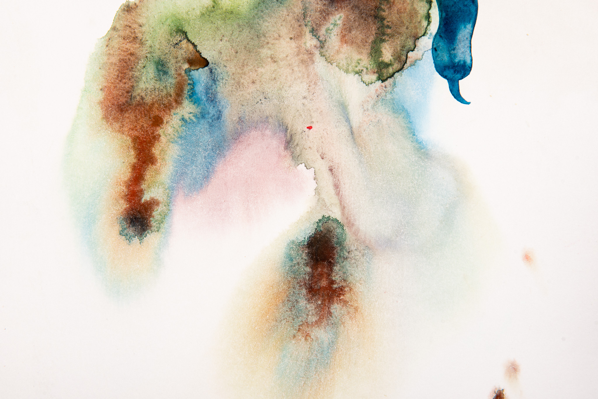 Elizabeth Saint-Jalmes - Sans titre - Galerie d’art à Brest