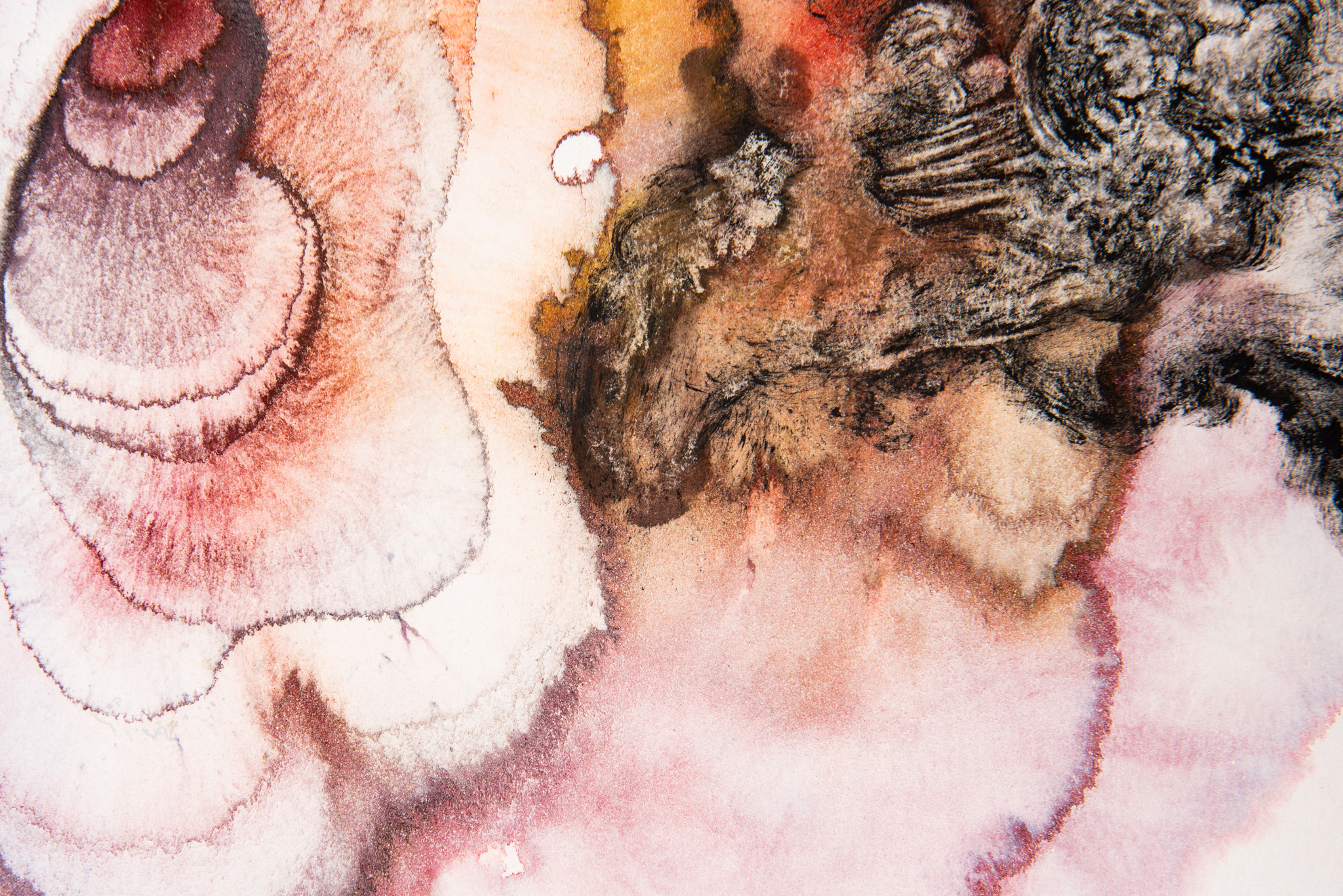 Elizabeth Saint-Jalmes - Sans titre - Galerie d’art à Brest
