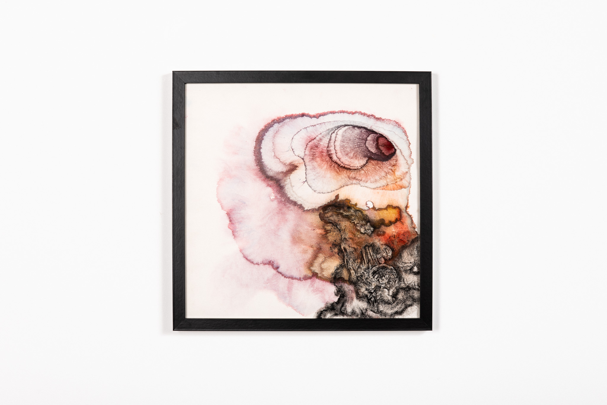 Elizabeth Saint-Jalmes - Sans titre - Galerie d’art à Brest