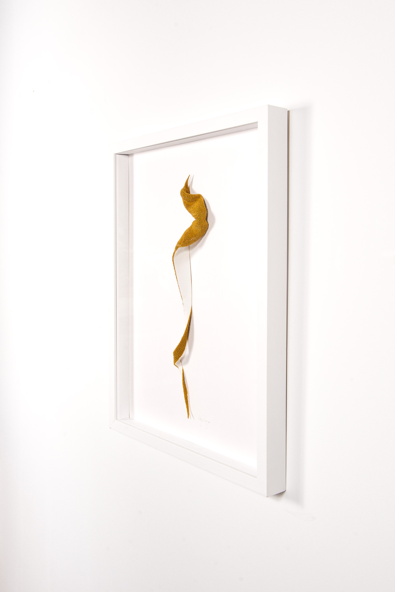 Mylinh Nguyen - La Mue - Galerie d’art à Brest