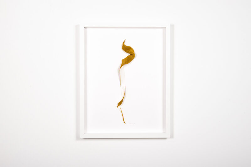 Mylinh Nguyen - La Mue - Galerie d’art à Brest