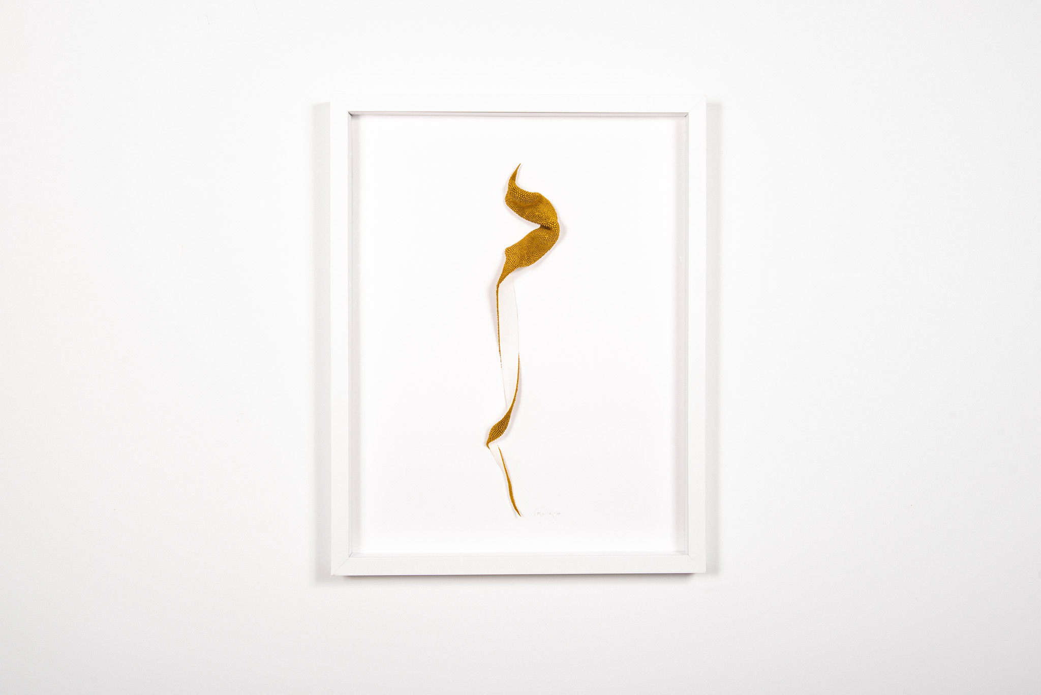 Mylinh Nguyen - La Mue - Galerie d’art à Brest