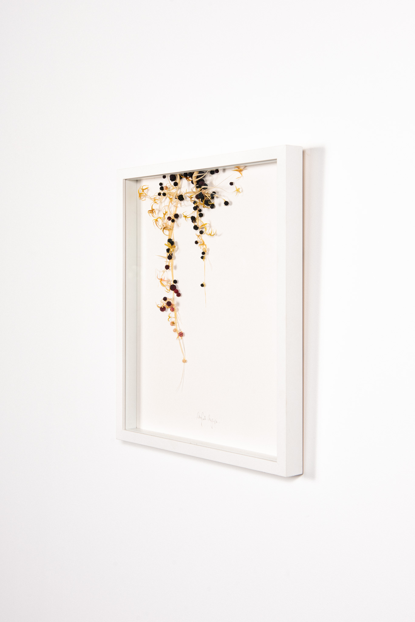 Mylinh Nguyen - Margaux_Olivre_galerie-42 - Galerie d’art à Brest
