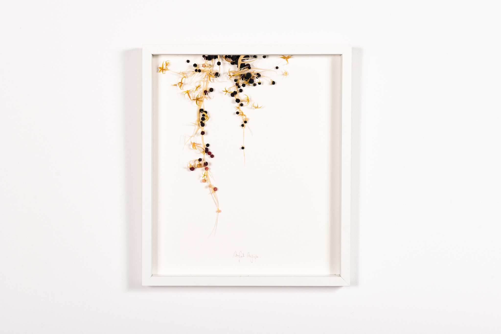Mylinh Nguyen - Margaux_Olivre_galerie-43 - Galerie d’art à Brest