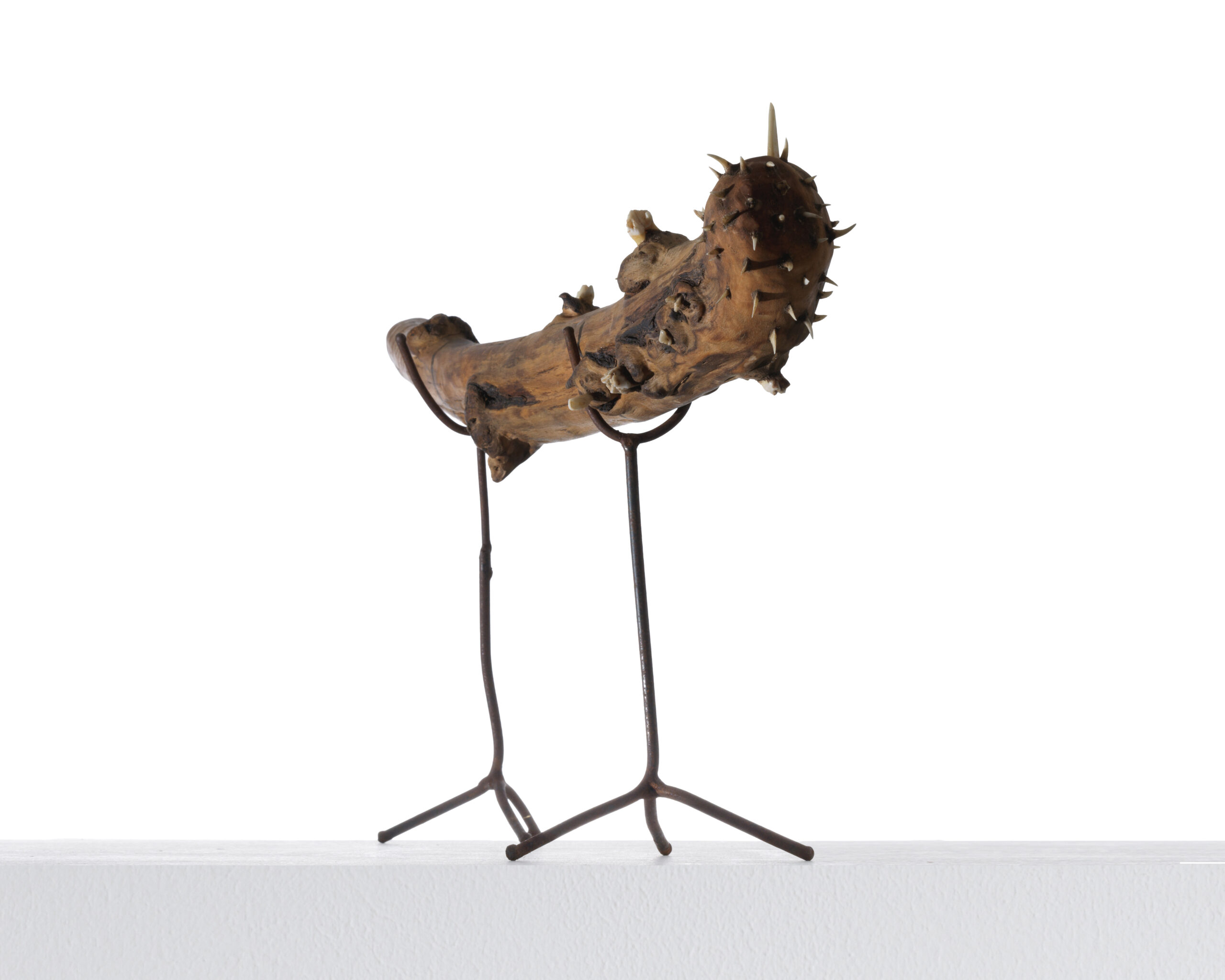 Sébastien Thomazo - assemblage Sébastien Thomazo - Galerie d’art à Brest