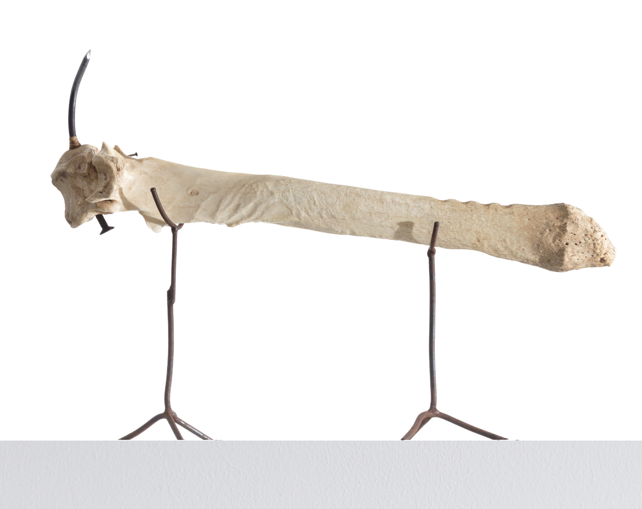 Sébastien Thomazo - Assemblage. Sébastien Thomazo. - Galerie d’art à Brest