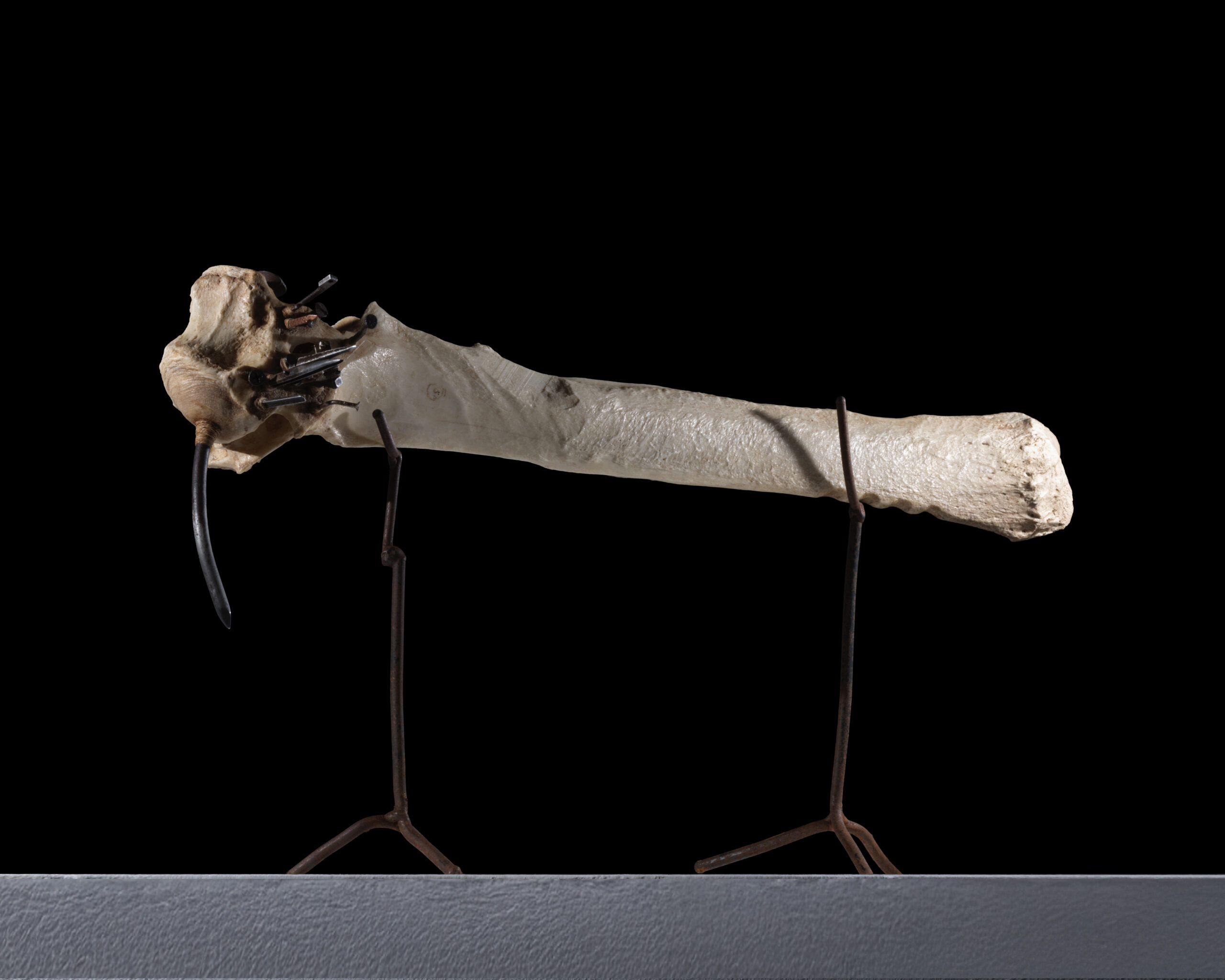Sébastien Thomazo - Assemblage. Sébastien Thomazo. - Galerie d’art à Brest