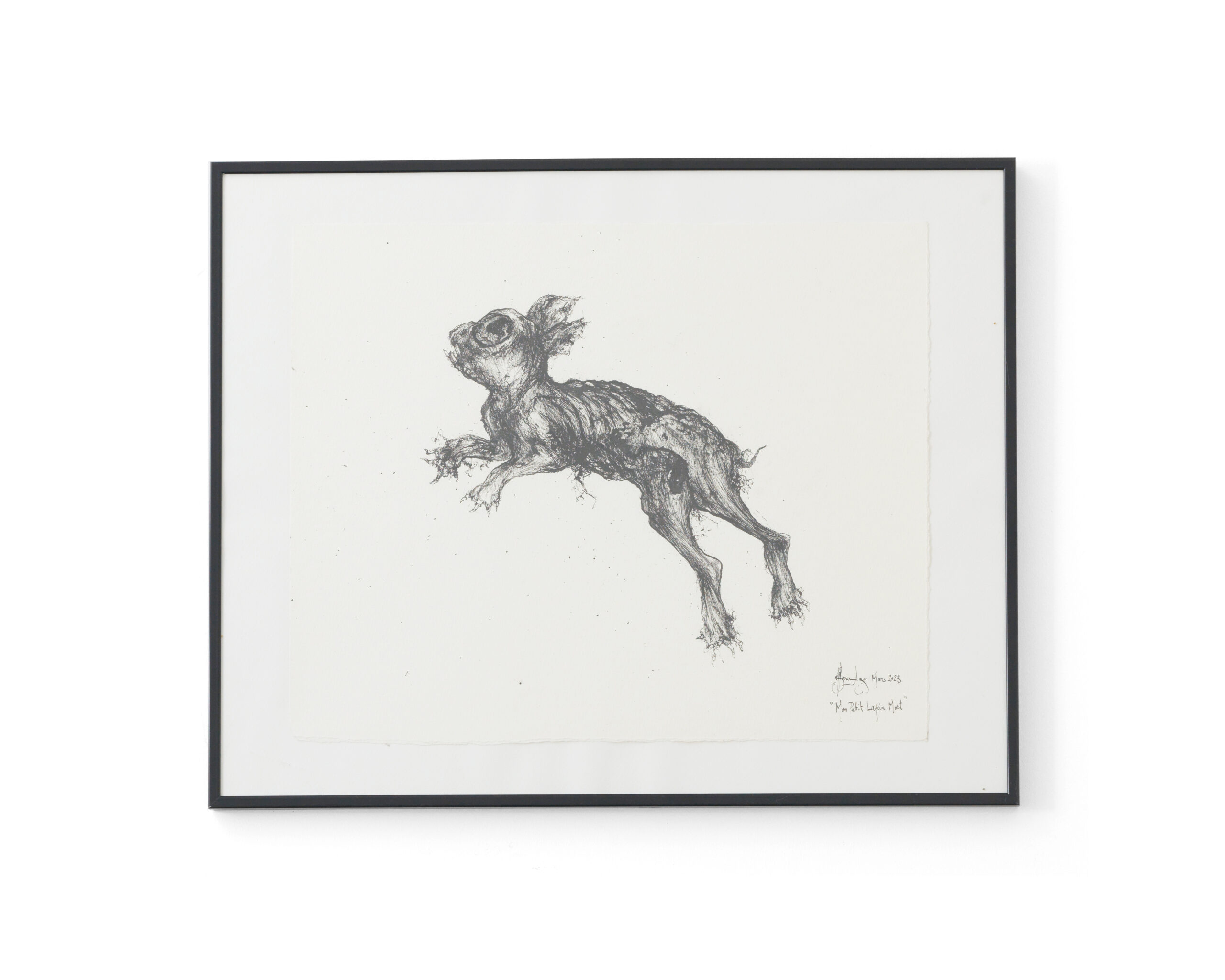Sébastien Thomazo - Mon petit lapin mort, Sébastien Thomazo - Galerie d’art à Brest