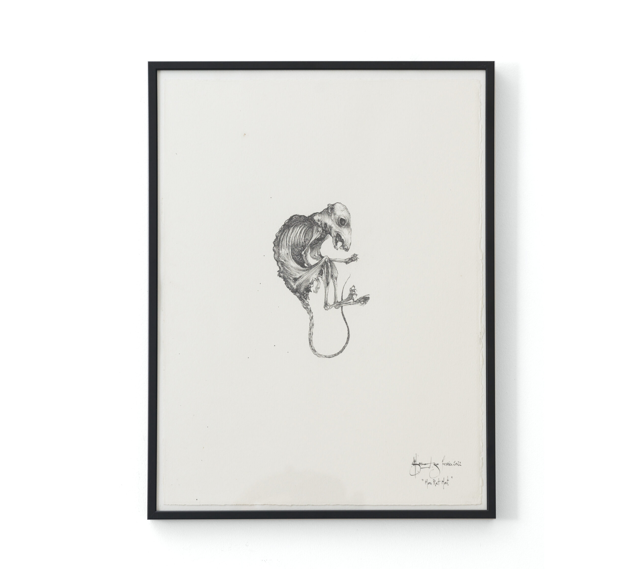 Sébastien Thomazo - Mon rat mort, Sébastien Thomazo - Galerie d’art à Brest