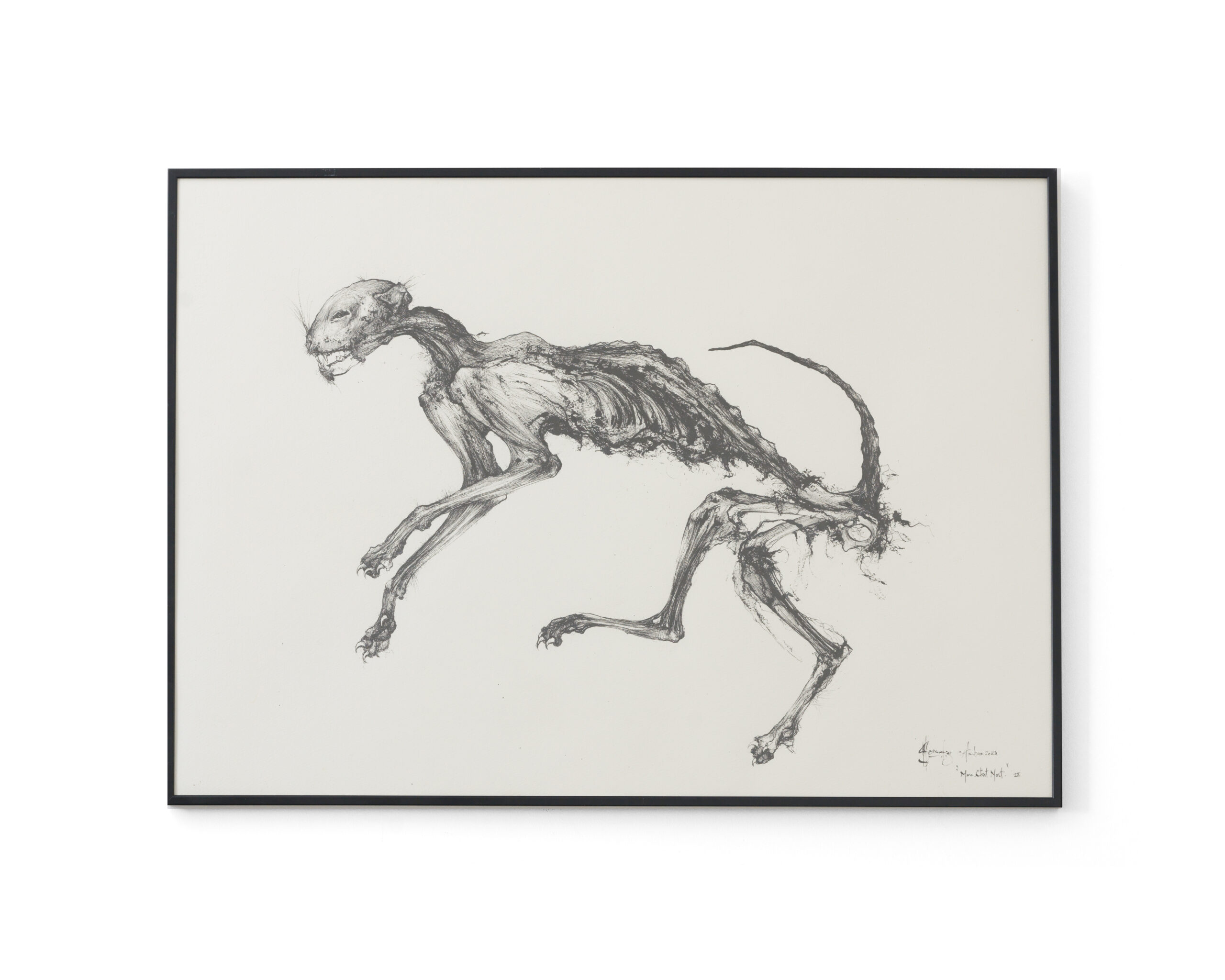 Sébastien Thomazo - Mon chat mort III, Sébastien Thomazo - Galerie d’art à Brest