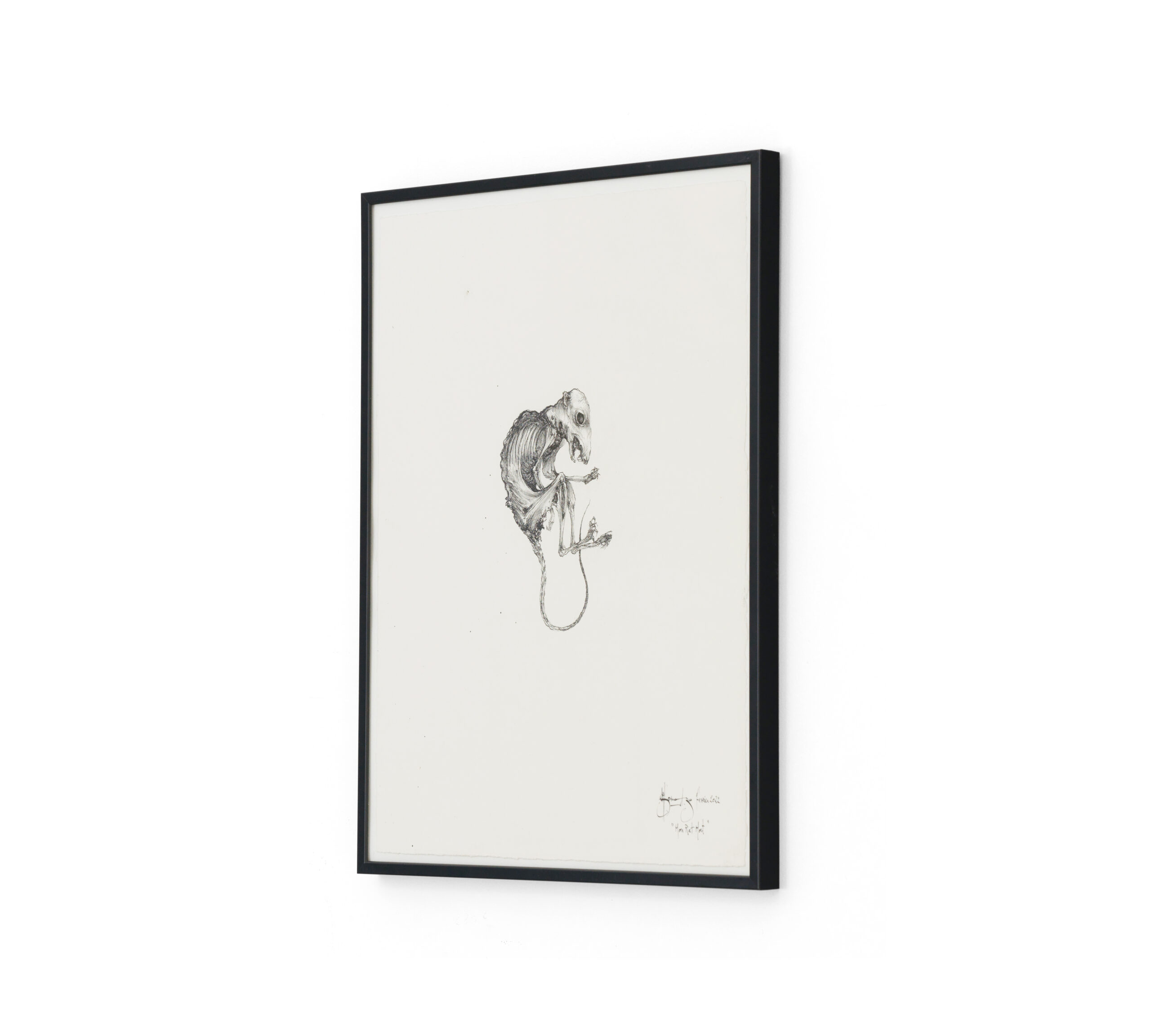 Sébastien Thomazo - Mon rat mort, Sébastien Thomazo - Galerie d’art à Brest