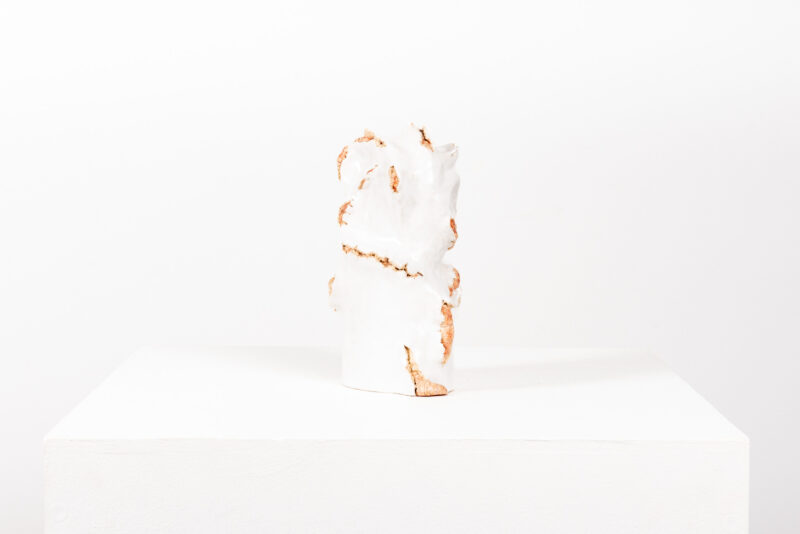 Dmitry Bulnygin - Larves sous l’écorce - Galerie d’art à Brest