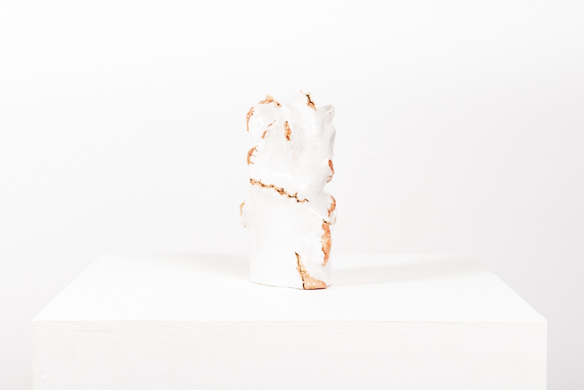 Dmitry Bulnygin - Larves sous l’écorce - Galerie d’art à Brest