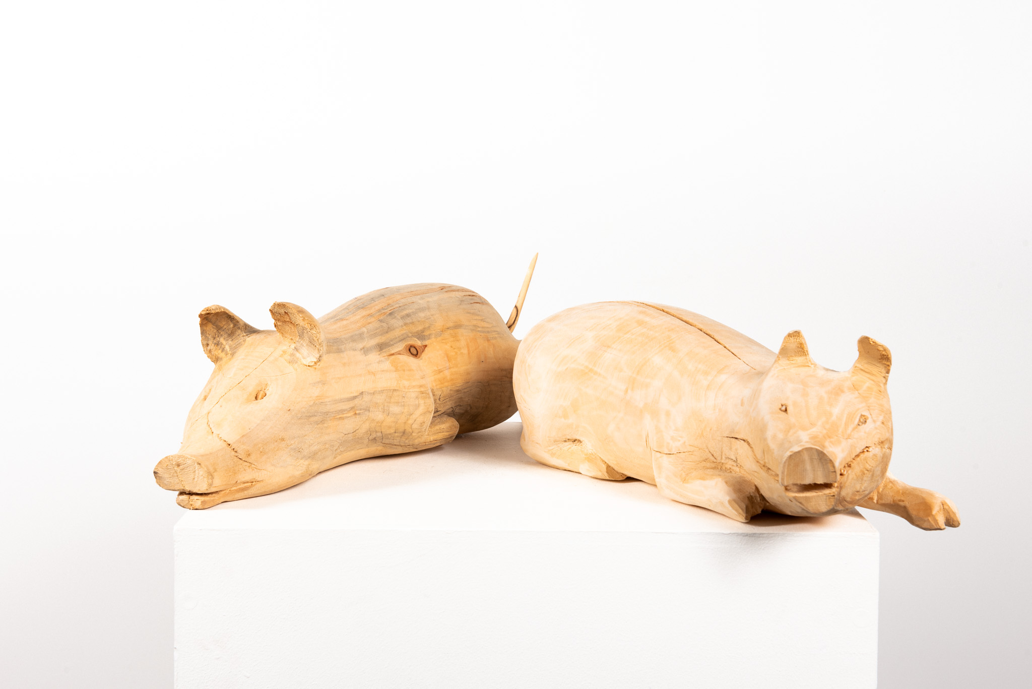 Dmitry Bulnygin - Cochon de lait - Galerie d’art à Brest