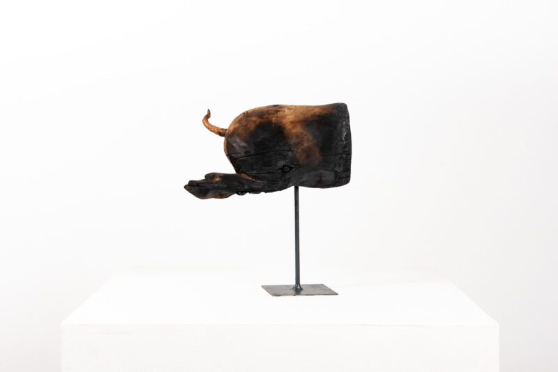 Dmitry Bulnygin - Cul de cochon de lait - Galerie d’art à Brest