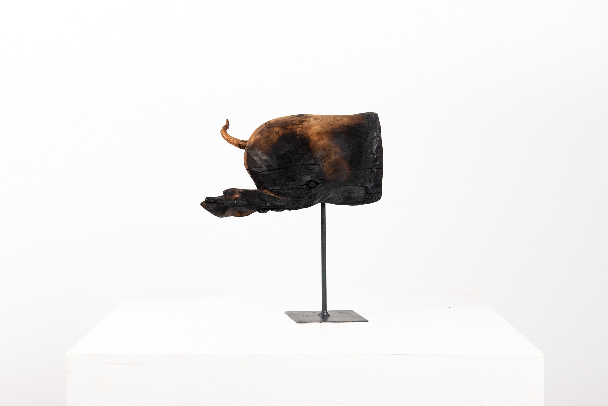 Dmitry Bulnygin - Cul de cochon de lait - Galerie d’art à Brest