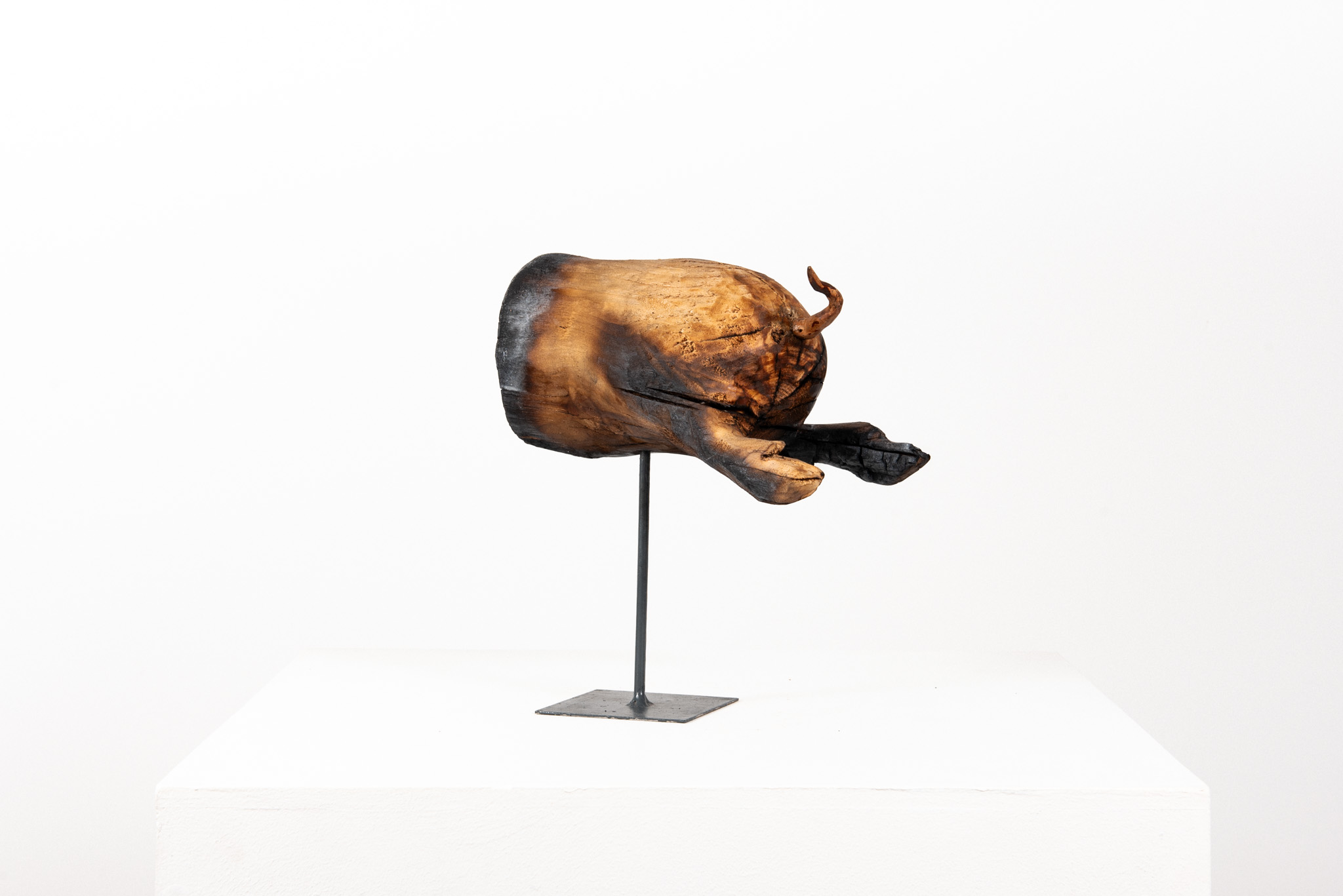 Dmitry Bulnygin - Cul de cochon de lait - Galerie d’art à Brest