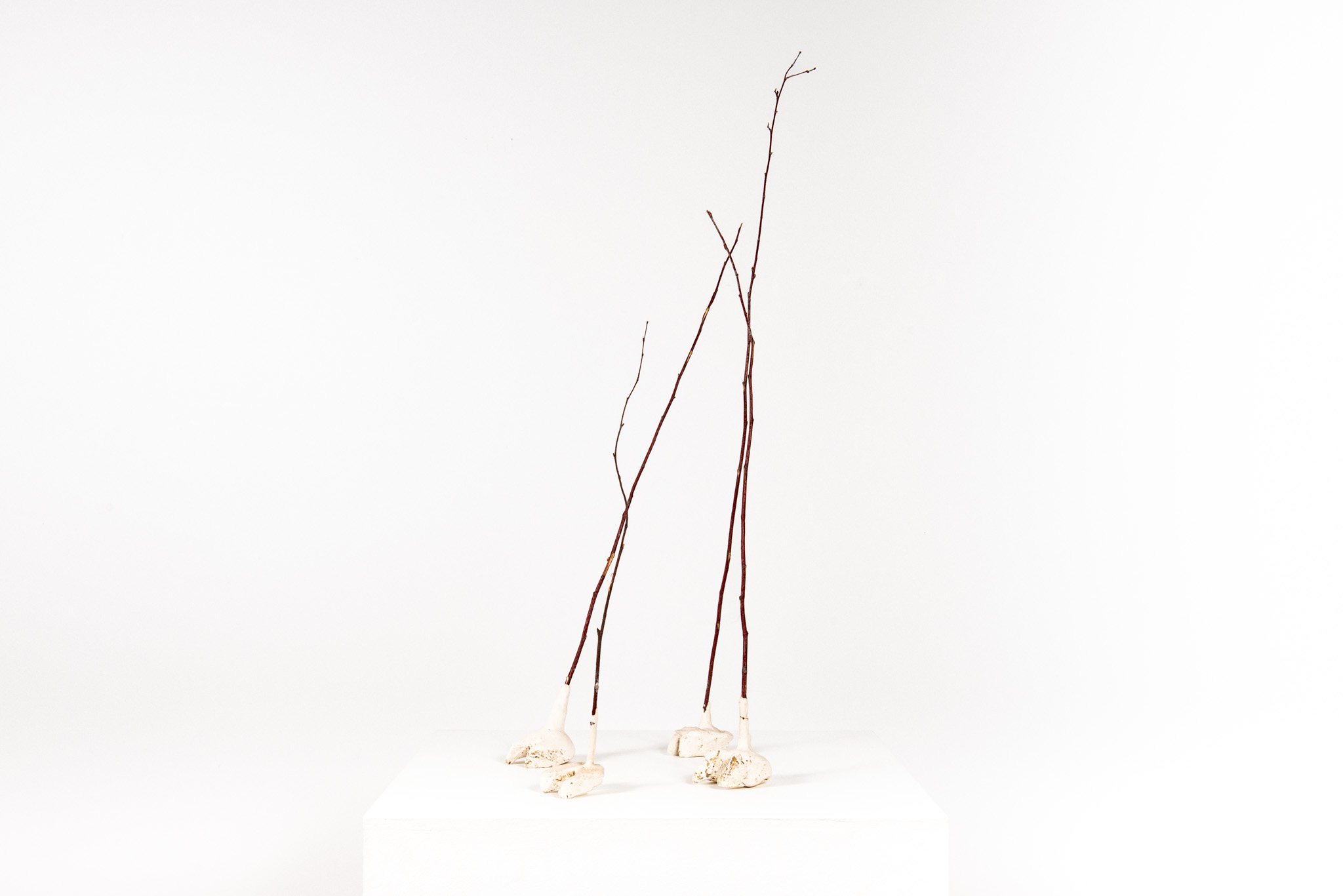 Dmitry Bulnygin - Un gros sanglier est passé - Galerie d’art à Brest