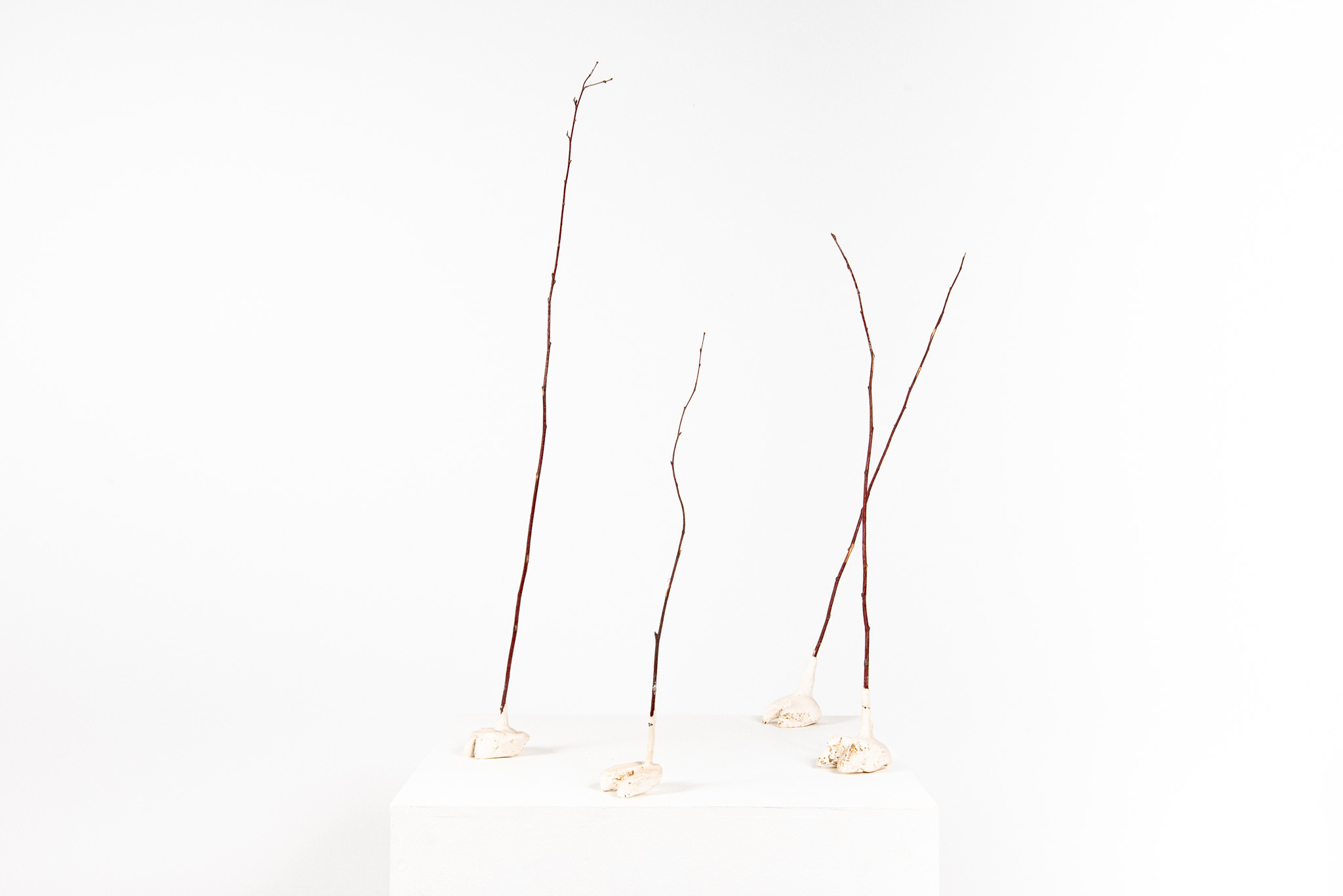 Dmitry Bulnygin - Un gros sanglier est passé - Galerie d’art à Brest