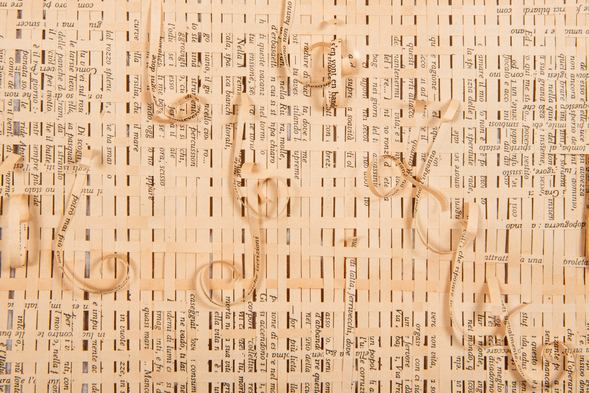 Ilann Vogt — visuel principal