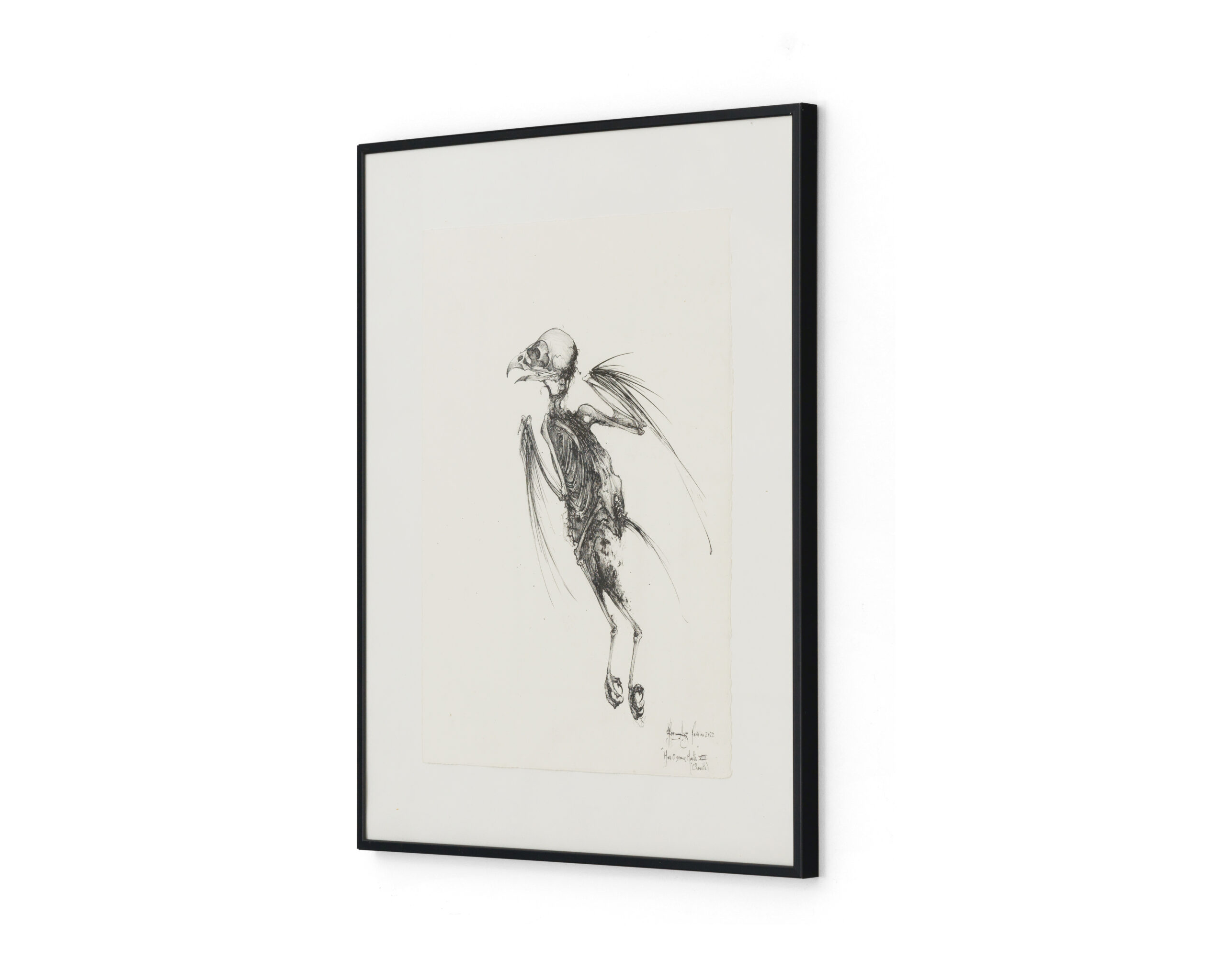Sébastien Thomazo - Mes oiseaux morts VIII (chouettte), Sébastien Thomazo - Galerie d’art à Brest