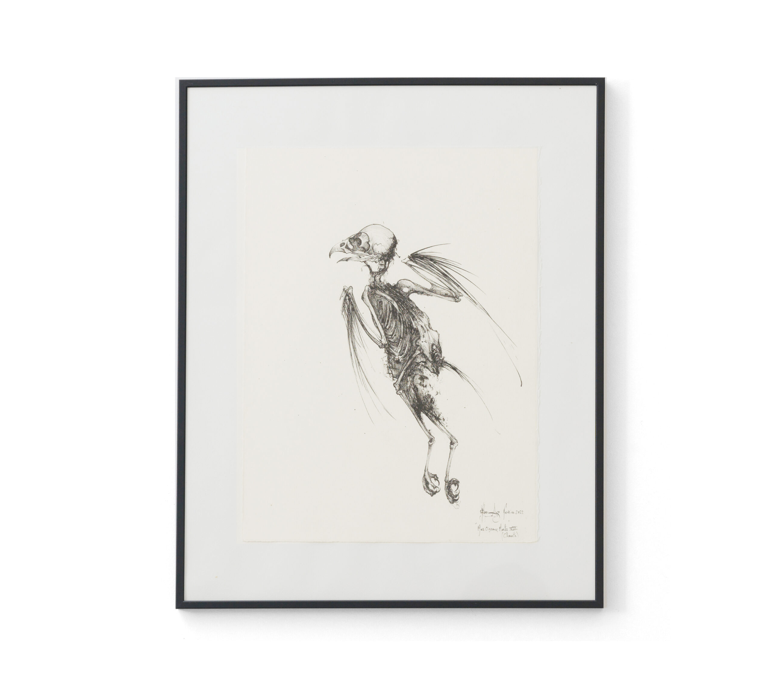 Sébastien Thomazo - Mes oiseaux morts VIII (chouettte), Sébastien Thomazo. - Galerie d’art à Brest