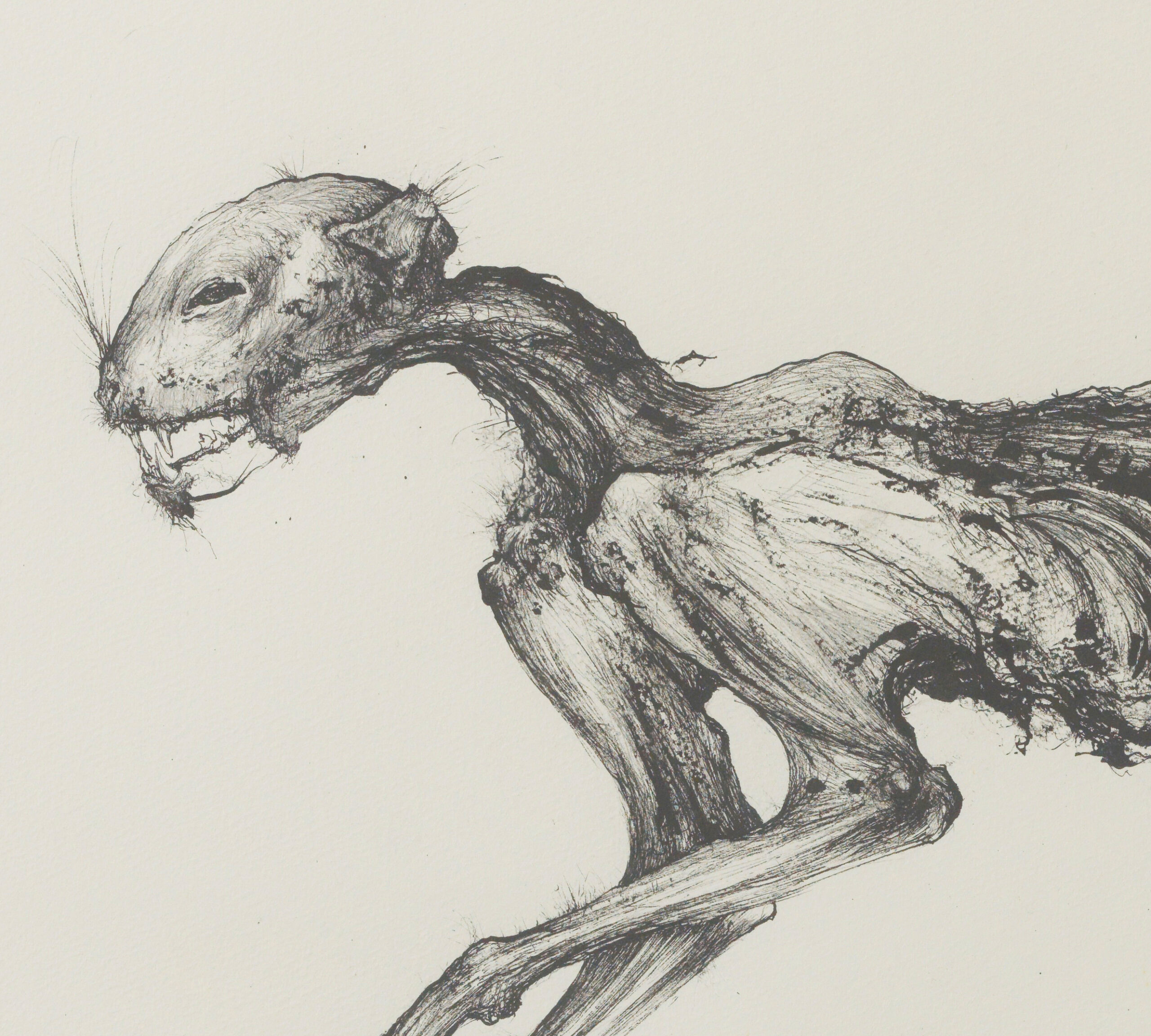 Sébastien Thomazo - Mon chat mort III, Sébastien Thomazo. - Galerie d’art à Brest