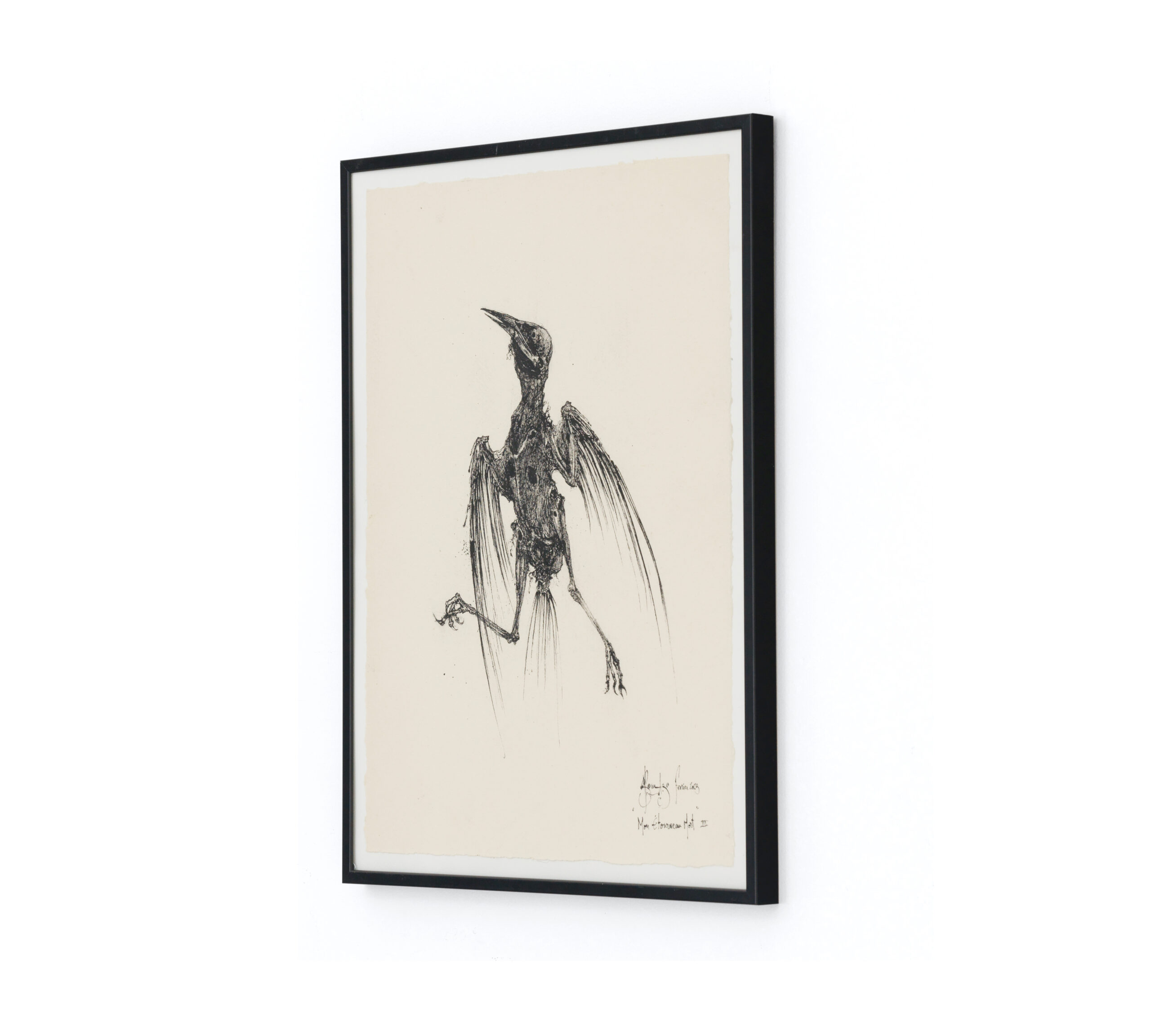 Sébastien Thomazo - Mon étourneau mort III, Sébastien Thomazo - Galerie d’art à Brest