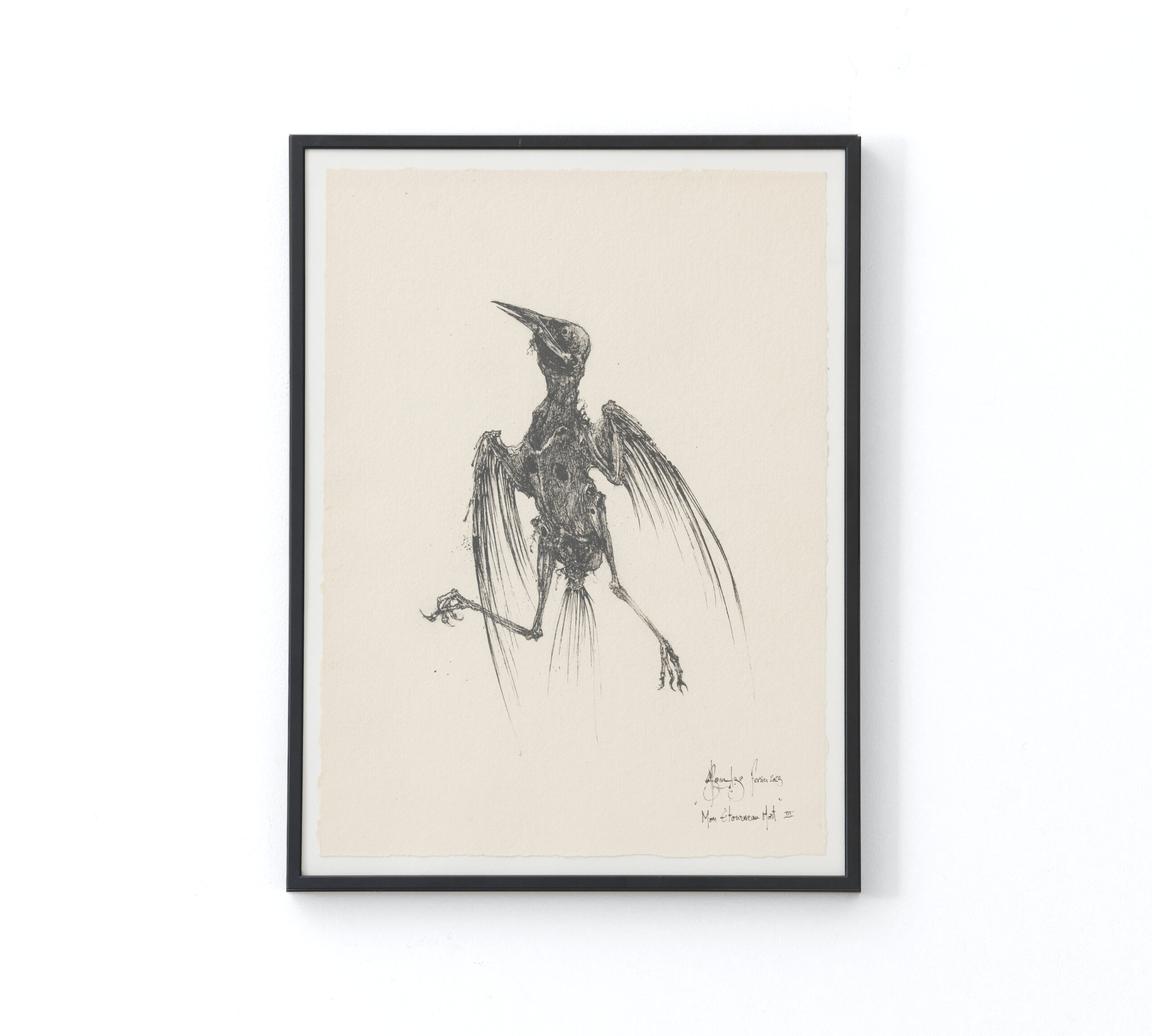 Sébastien Thomazo - Mon étourneau mort III, Sébastien Thomazo - Galerie d’art à Brest