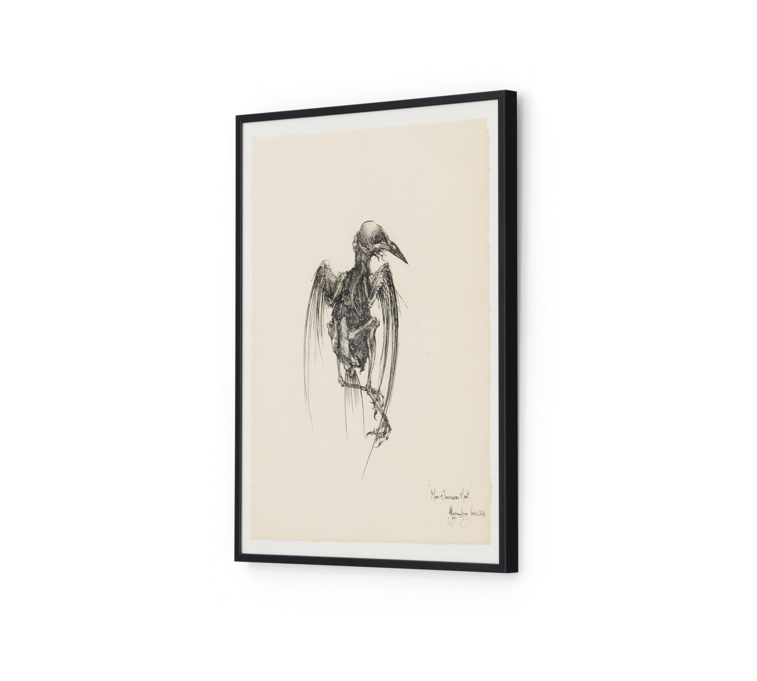 Sébastien Thomazo - Mon étourneau mort, Sébastien Thomazo - Galerie d’art à Brest