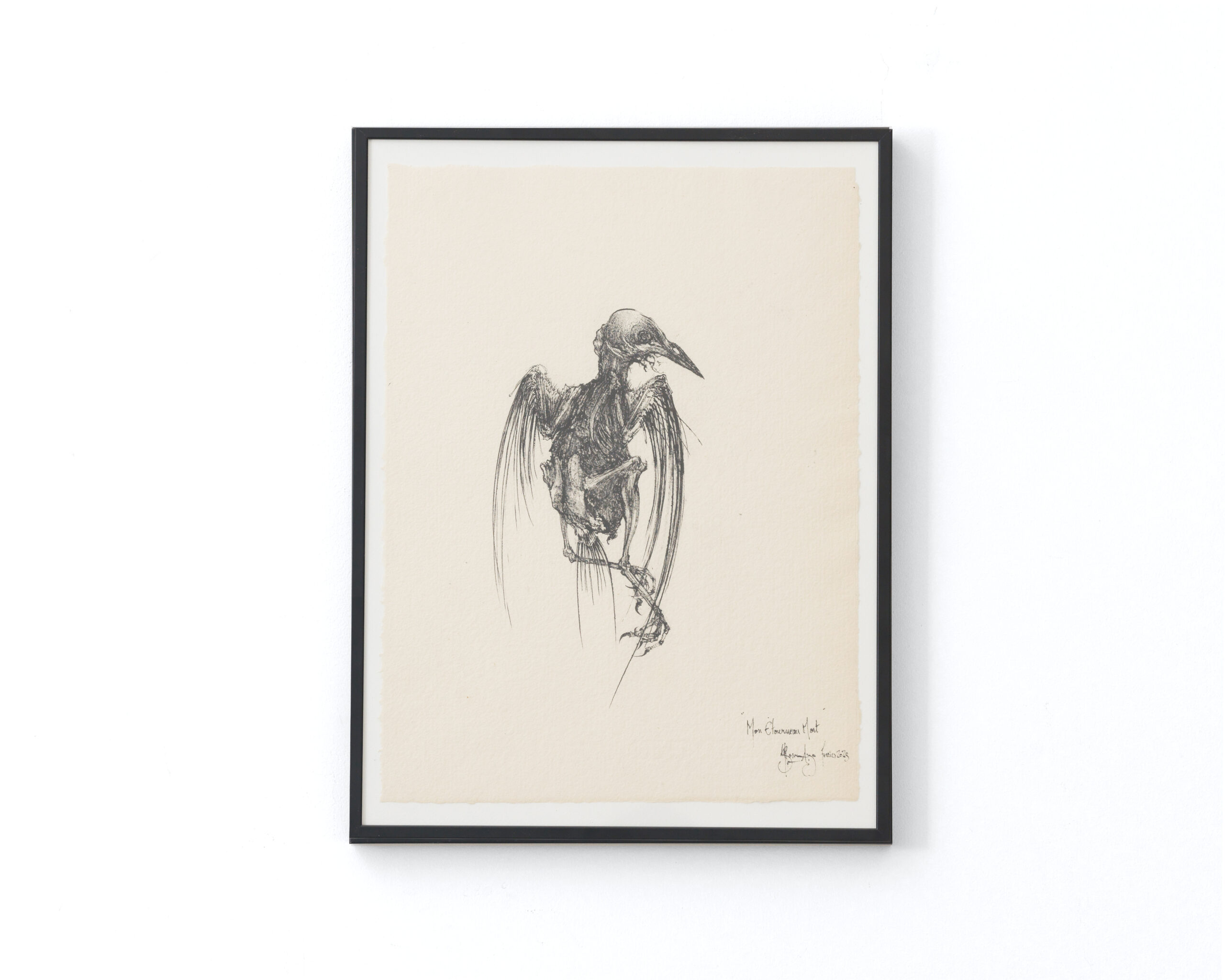 Sébastien Thomazo - Mon étourneau mort, Sébastien Thomazo - Galerie d’art à Brest