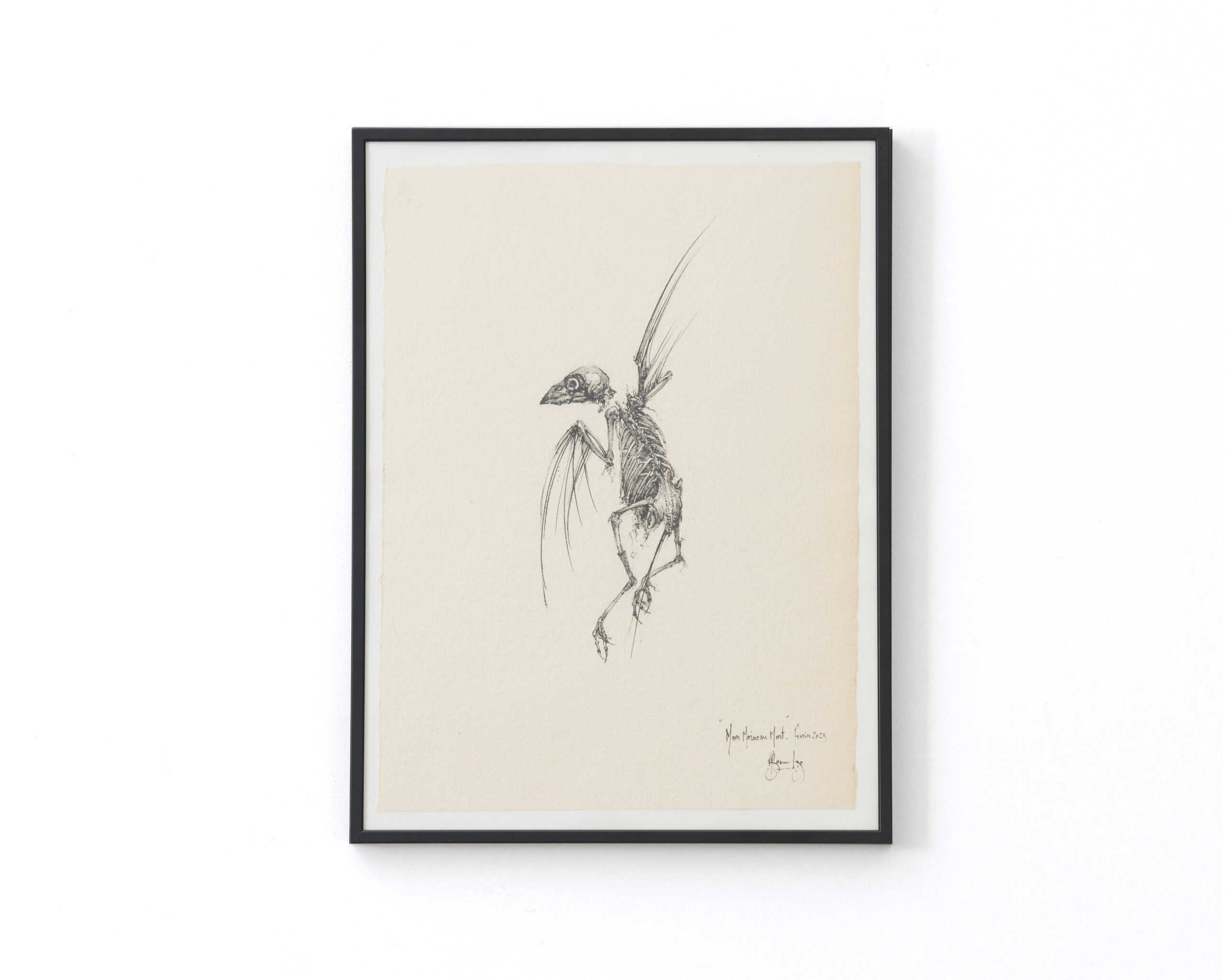 Sébastien Thomazo - Mon moineau mort, Sébastien Thomazo - Galerie d’art à Brest