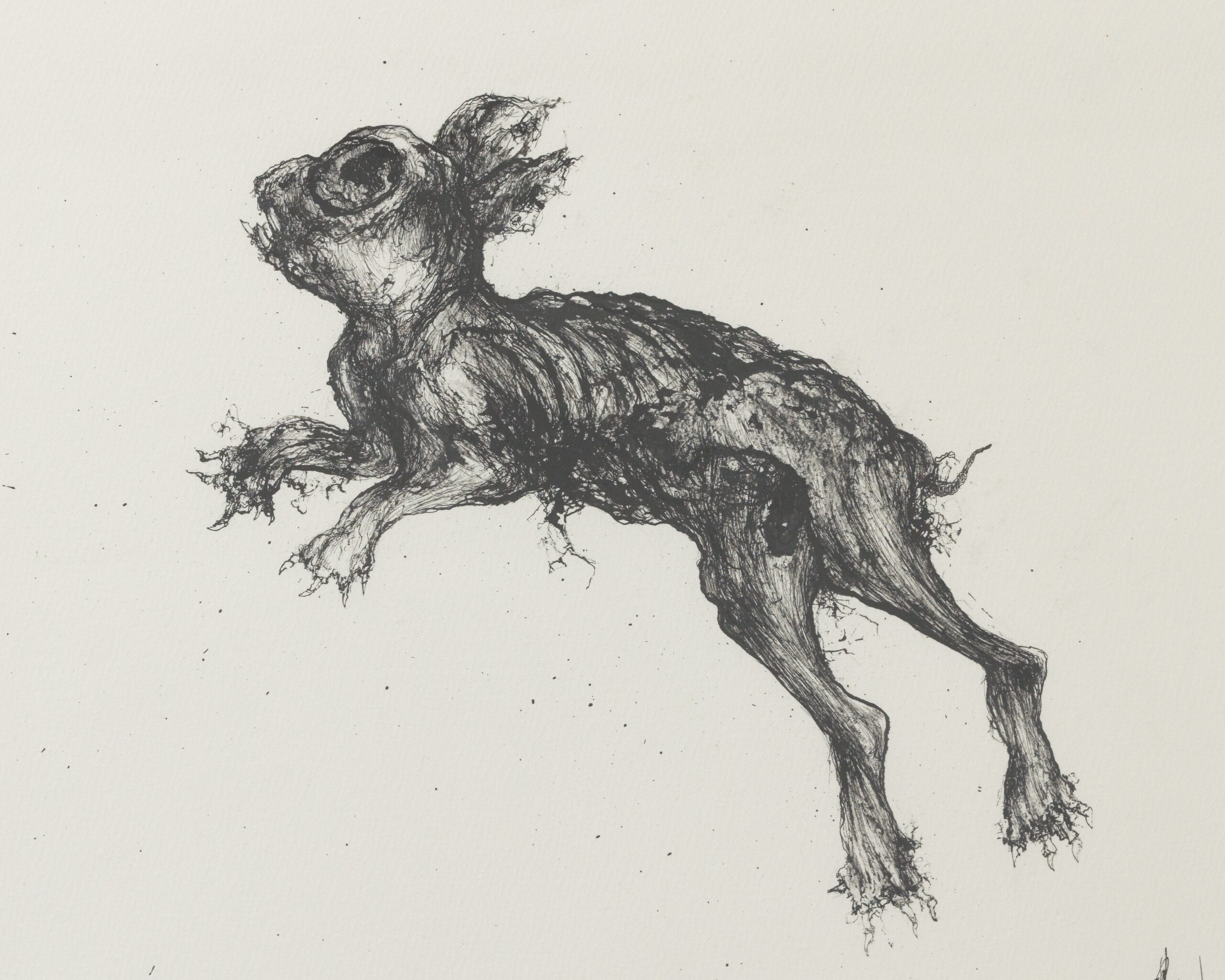 Sébastien Thomazo - Mon petit lapin mort, Sébastien Thomazo. - Galerie d’art à Brest