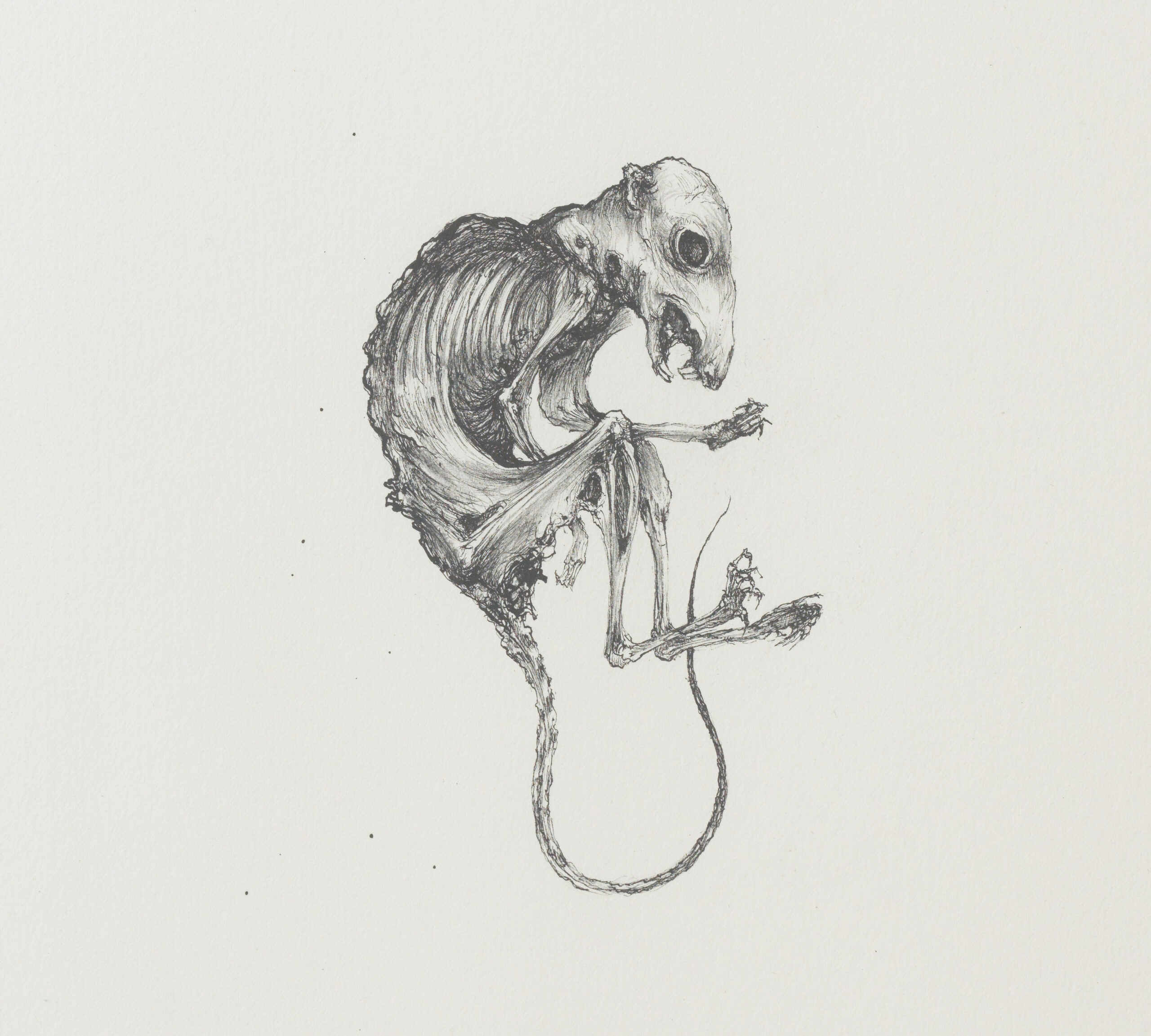 Sébastien Thomazo - Mon rat mort, Sébastien Thomazo - Galerie d’art à Brest