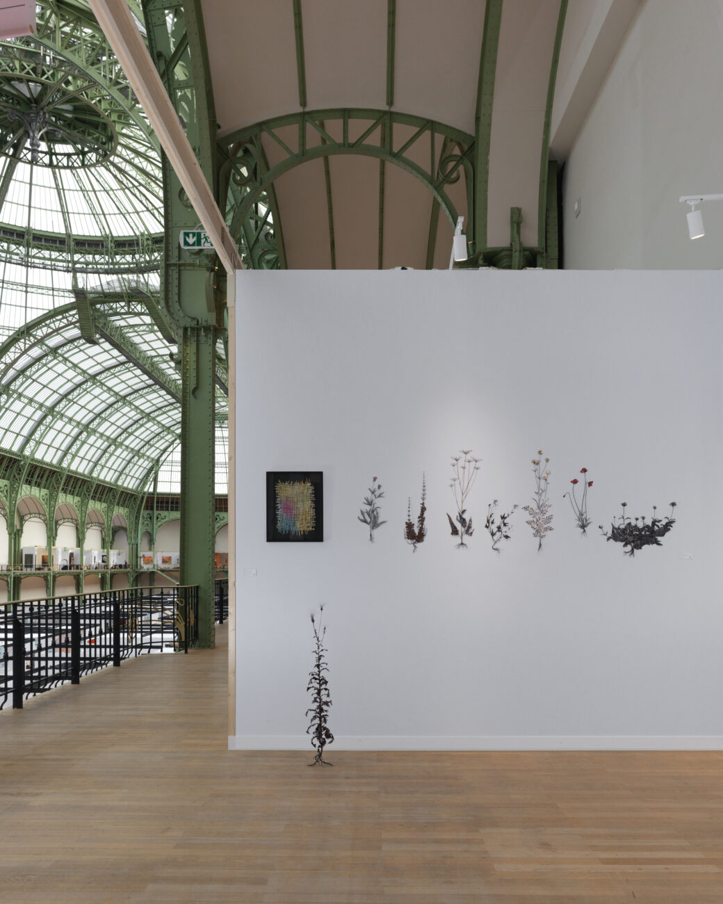 Photo de la galerie