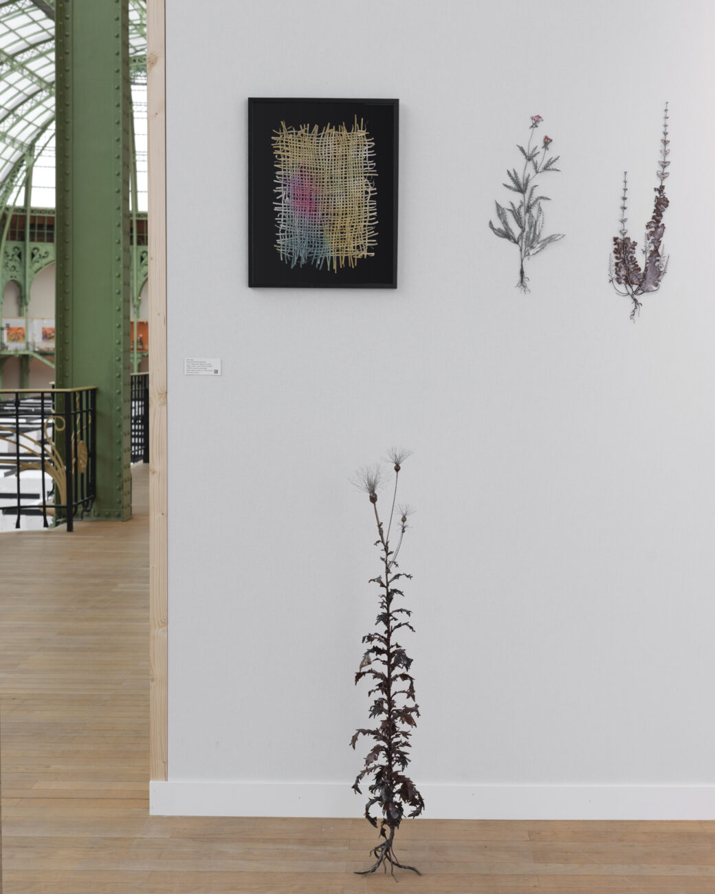 Photo de la galerie