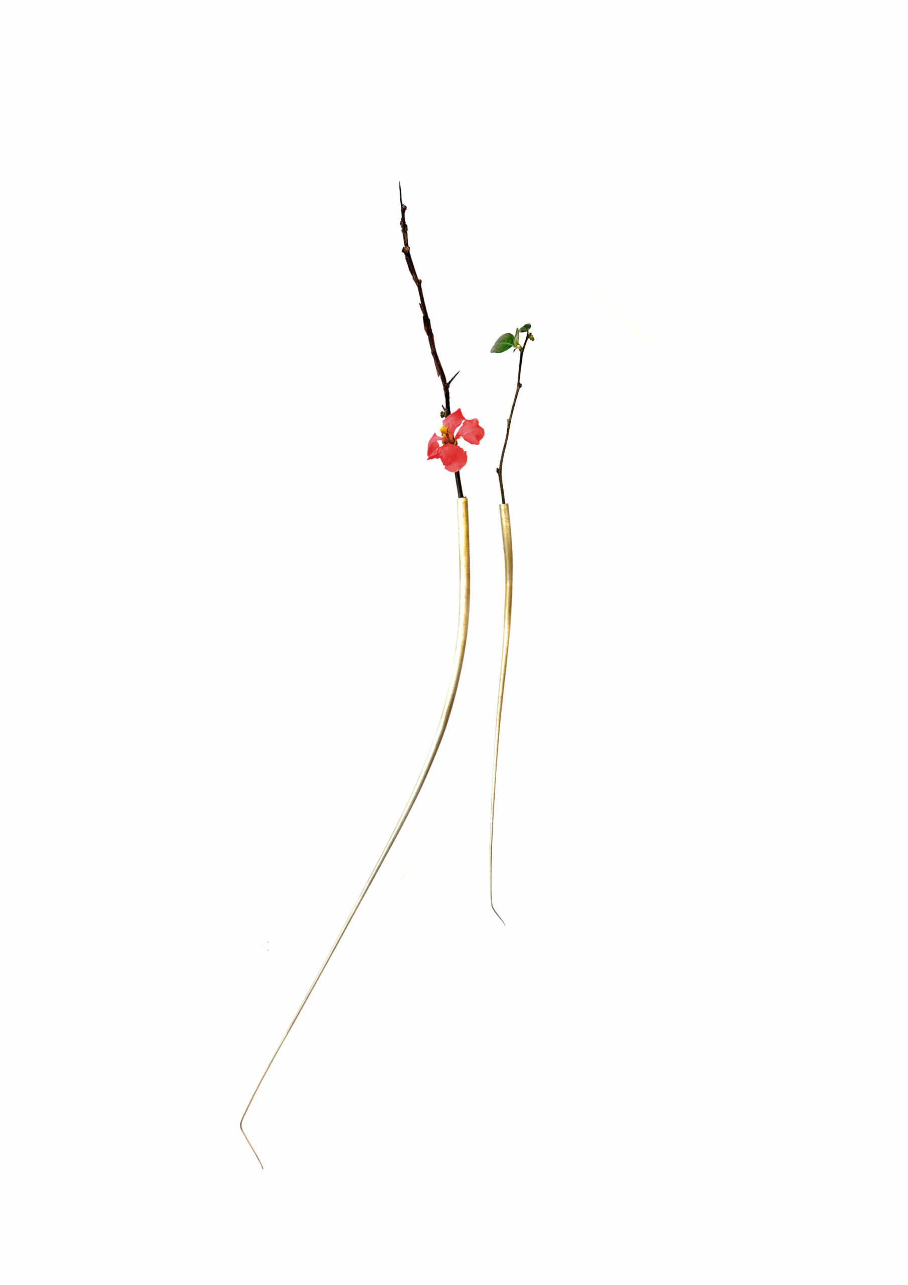 Mylinh Nguyen - Vases pour fleurs séchées, Mylinh Nguyen - Galerie d’art à Brest