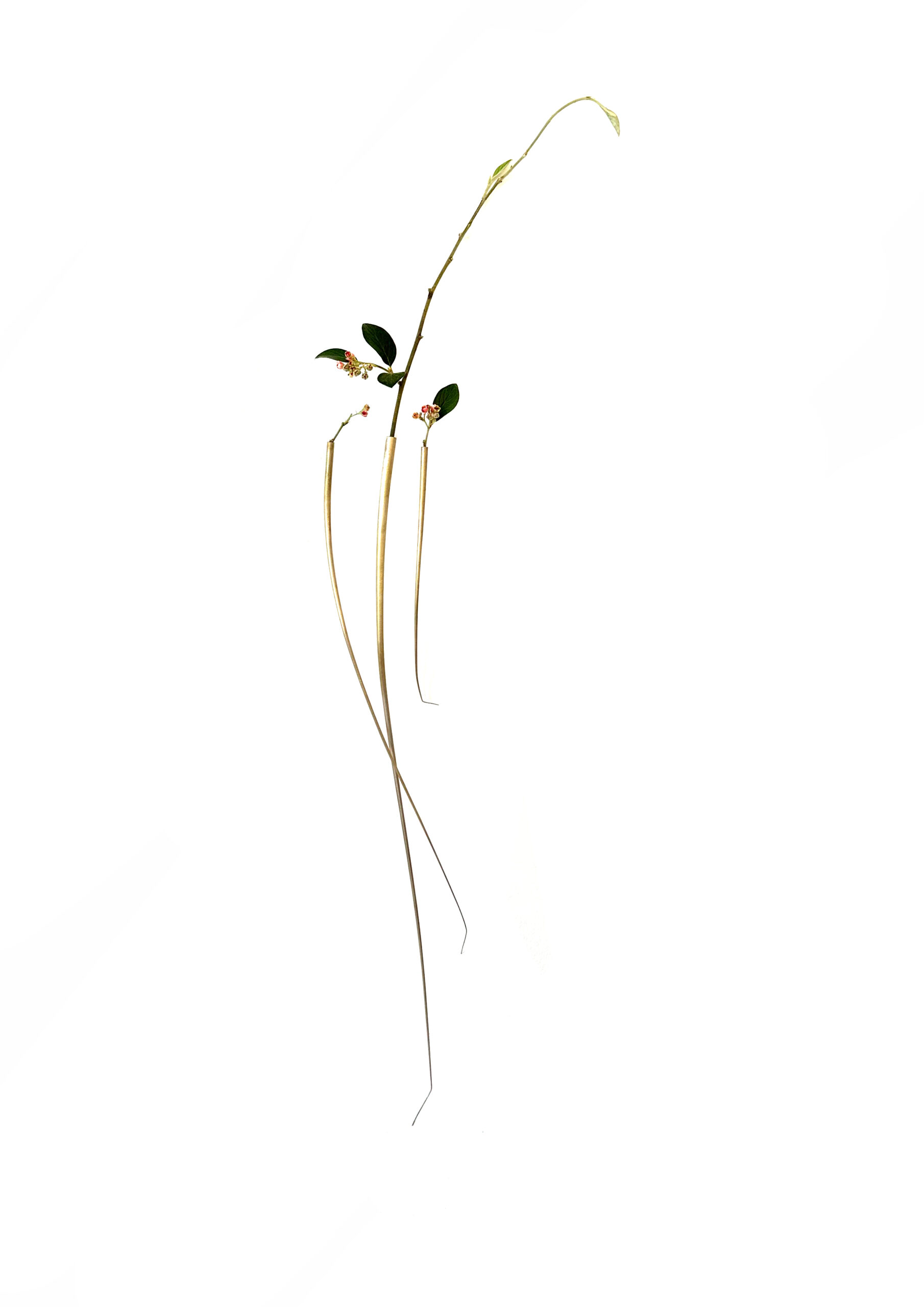 Mylinh Nguyen - Vases pour fleurs séchées, Mylinh Nguyen - Galerie d’art à Brest