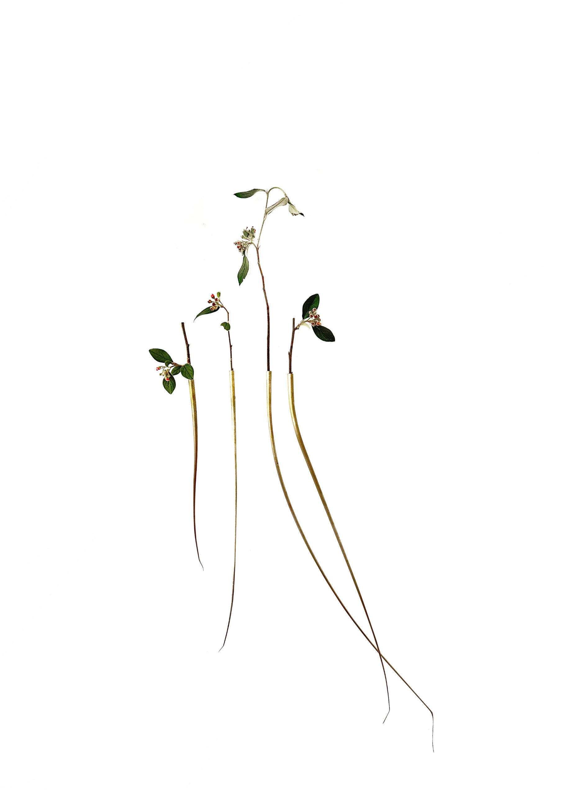 Mylinh Nguyen - Vases pour fleurs séchées, Mylinh Nguyen - Galerie d’art à Brest