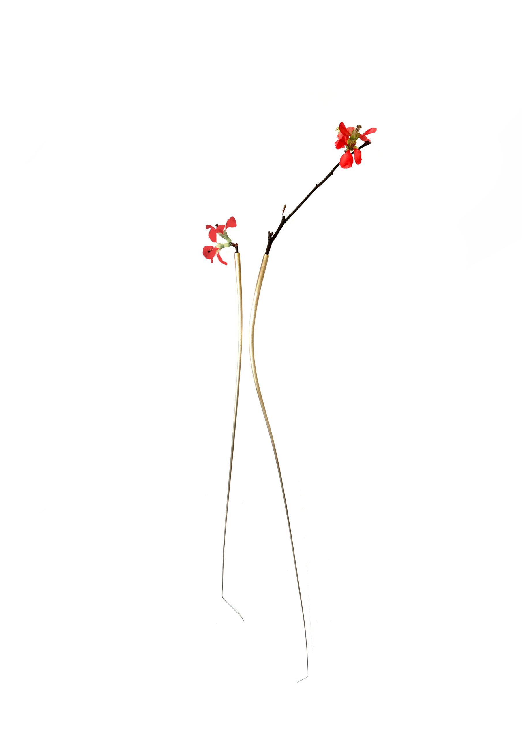 Mylinh Nguyen - Vases pour fleurs séchées, Mylinh Nguyen - Galerie d’art à Brest