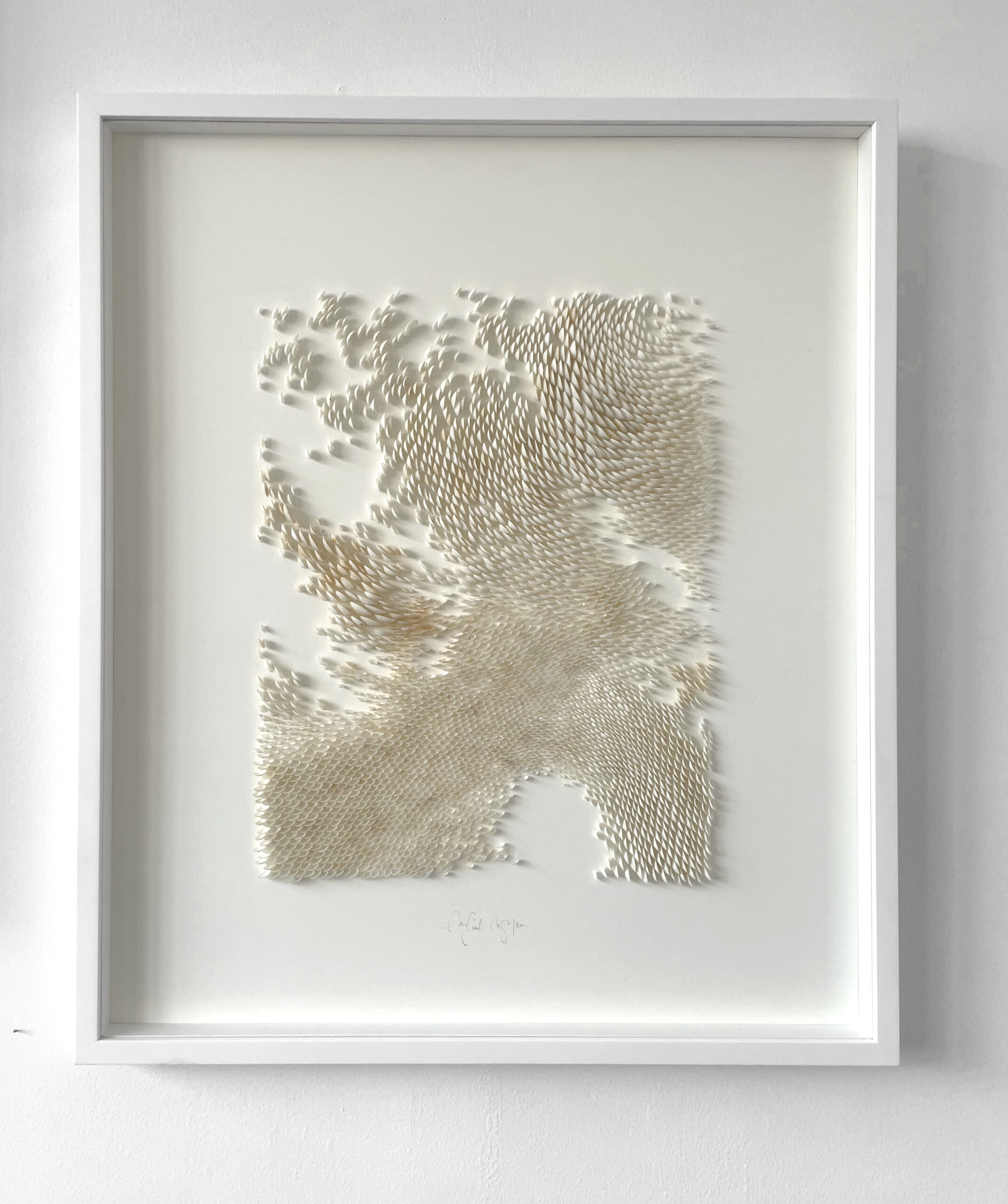 Mylinh Nguyen - coquillages encadrés (série 2), Mylinh Nguyen - Galerie d’art à Brest