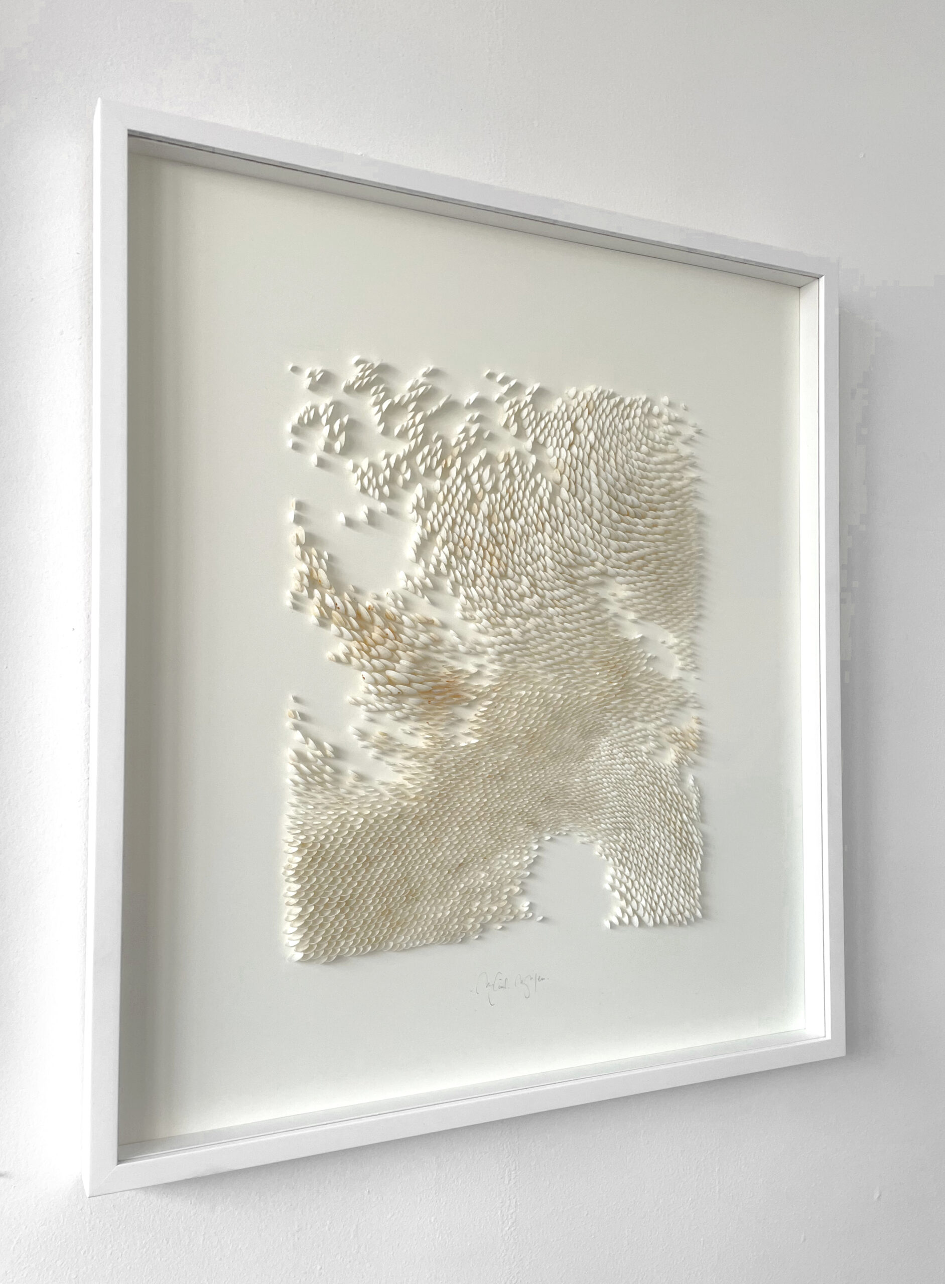 Mylinh Nguyen - coquillages encadrés (série 2), Mylinh Nguyen - Galerie d’art à Brest