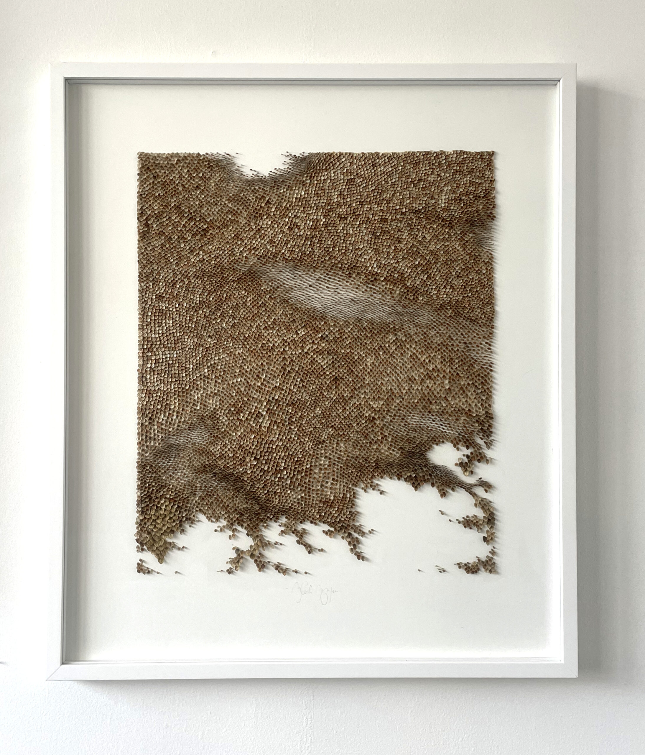 Mylinh Nguyen - graines encadrées (série 2), Mylinh Nguyen - Galerie d’art à Brest