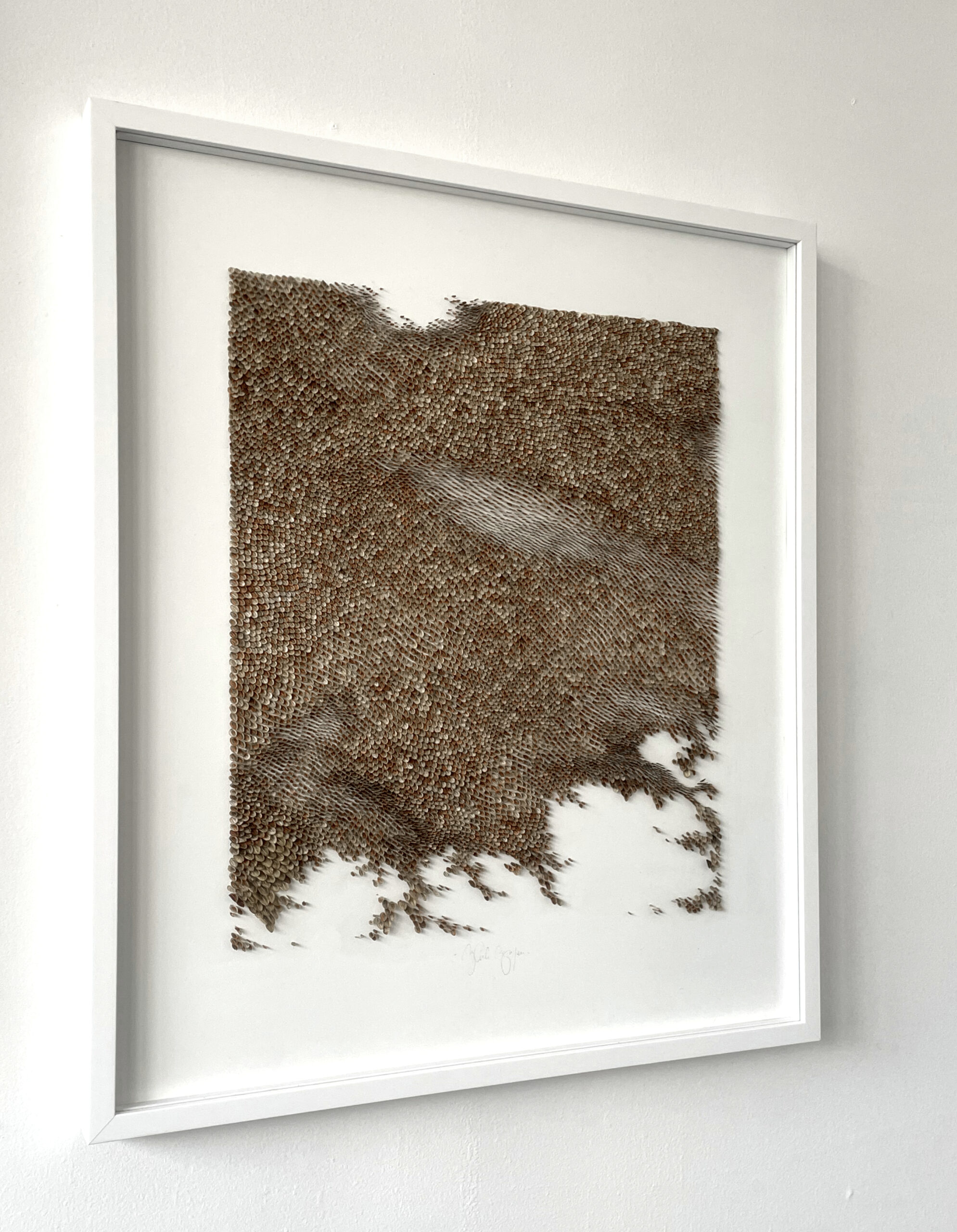 Mylinh Nguyen - graines encadrées (série 2) - Galerie d’art à Brest